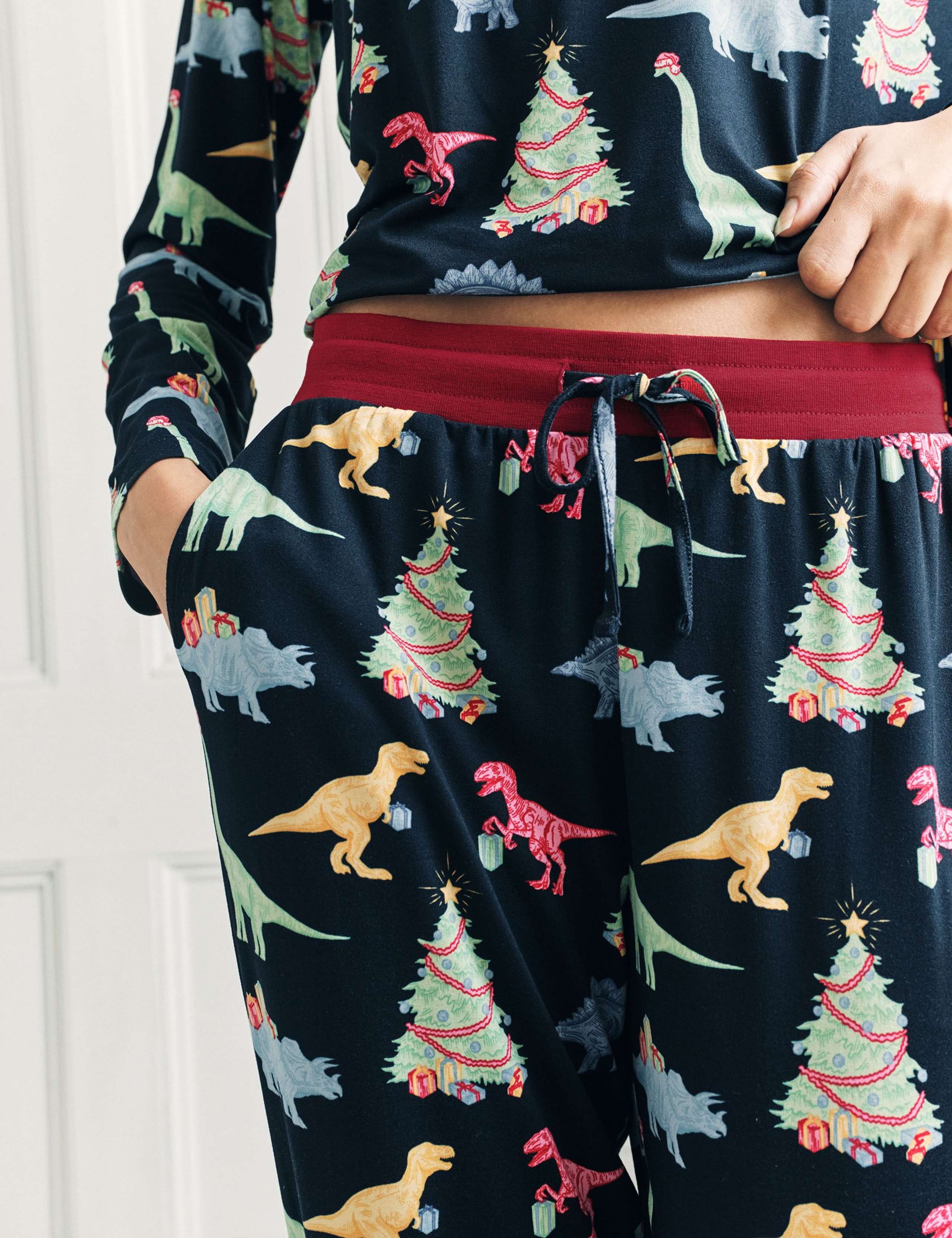 Jersey Christmas Dinosaur Print Pyjama Set 7 of 7