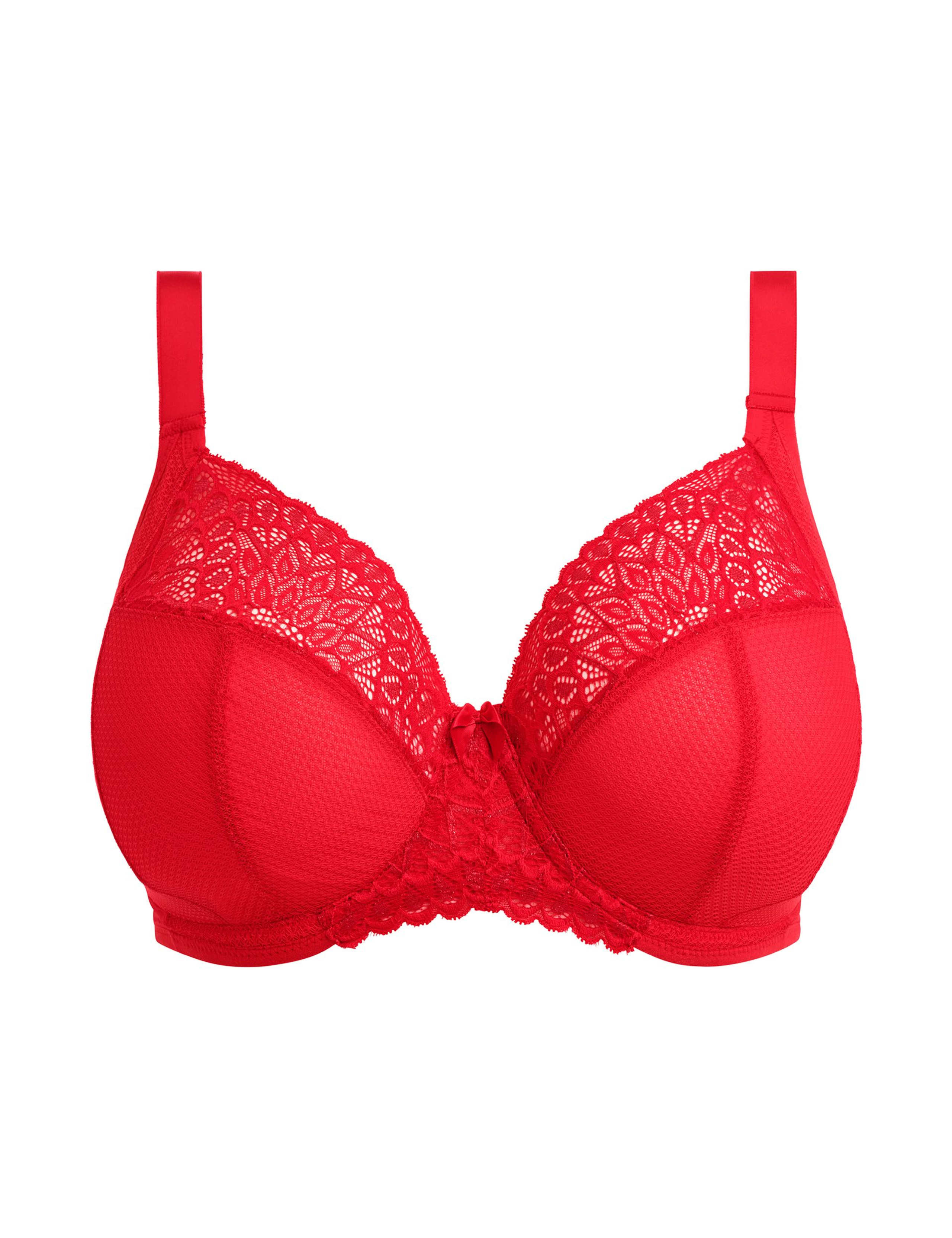 Tiernie Wired Plunge Bra (DD-K) 2 of 6