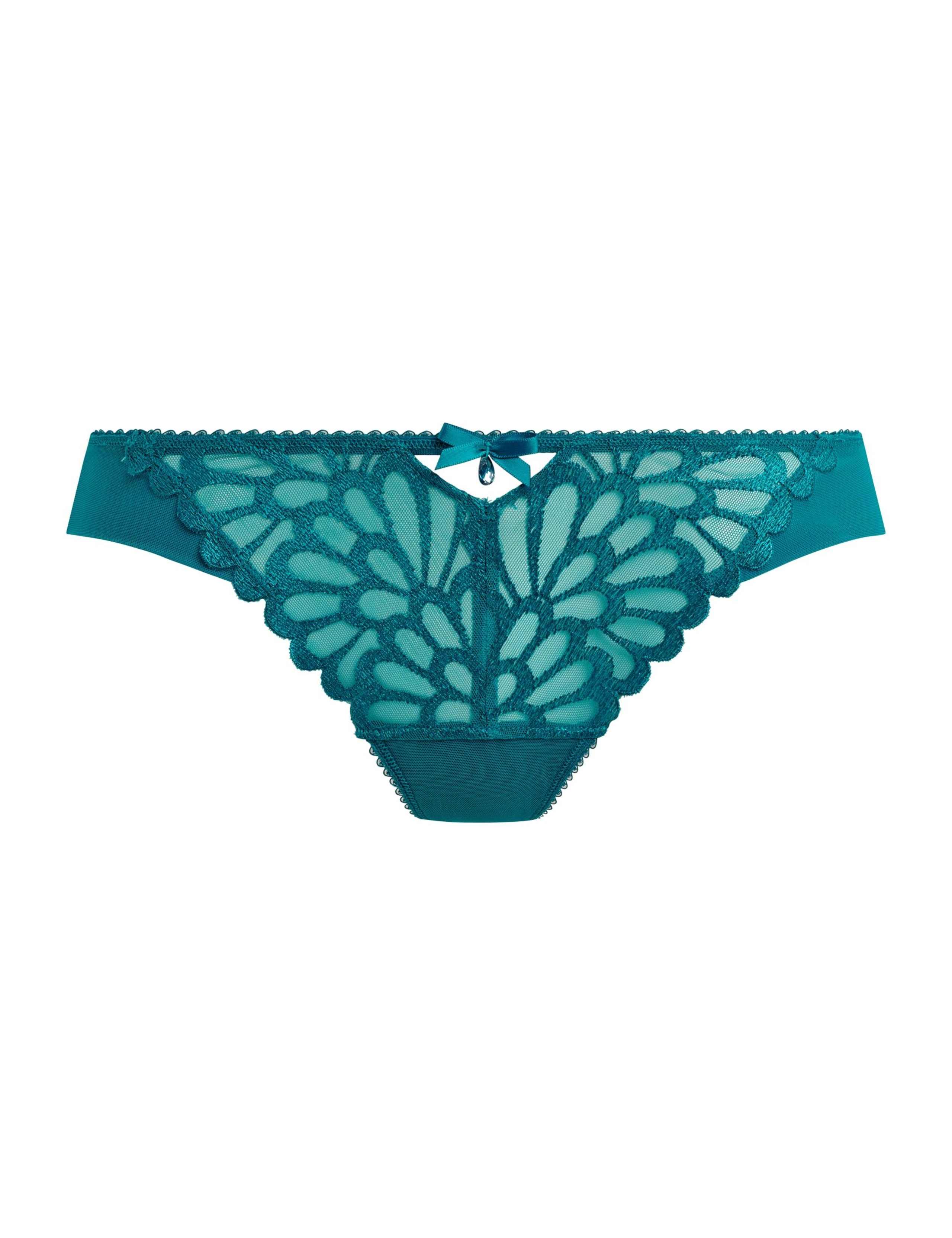 Loveland Brazilian Knickers 2 of 5