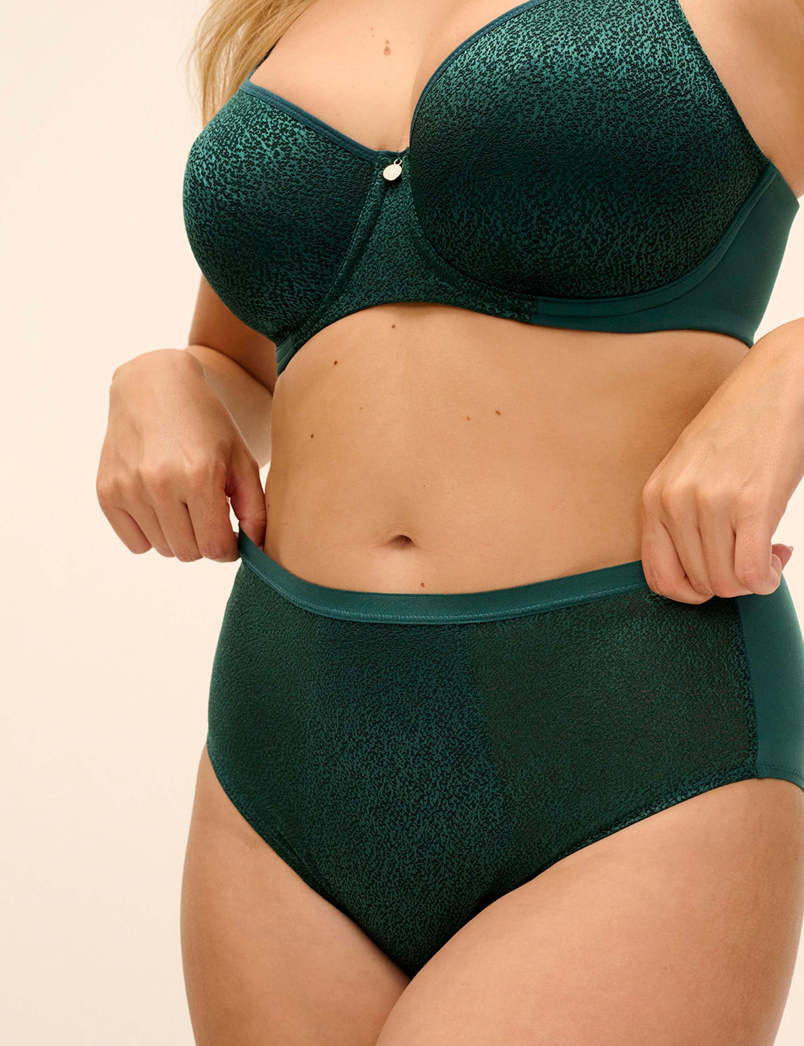 Demure Full Briefs 4 of 6