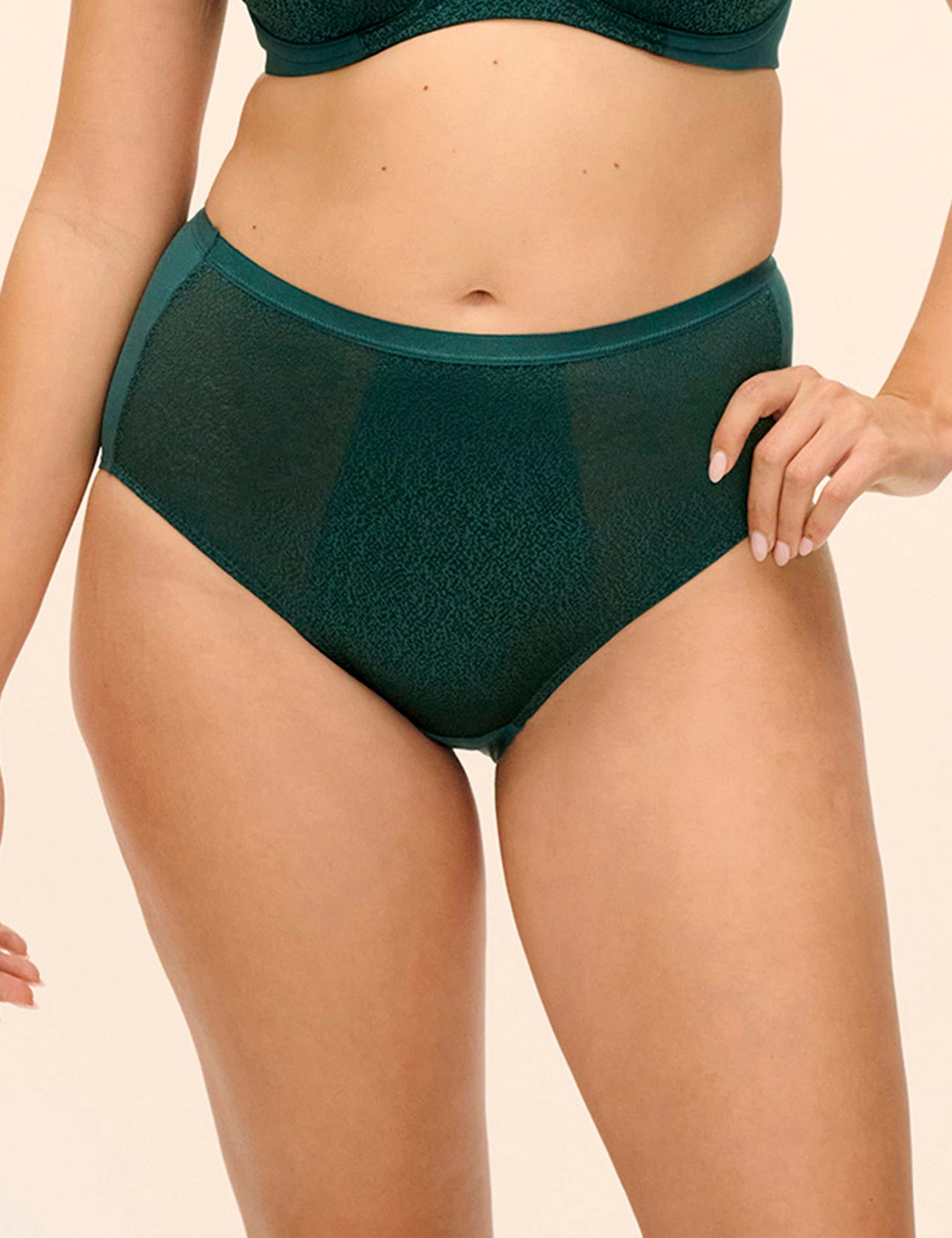 Demure Full Briefs 5 of 6