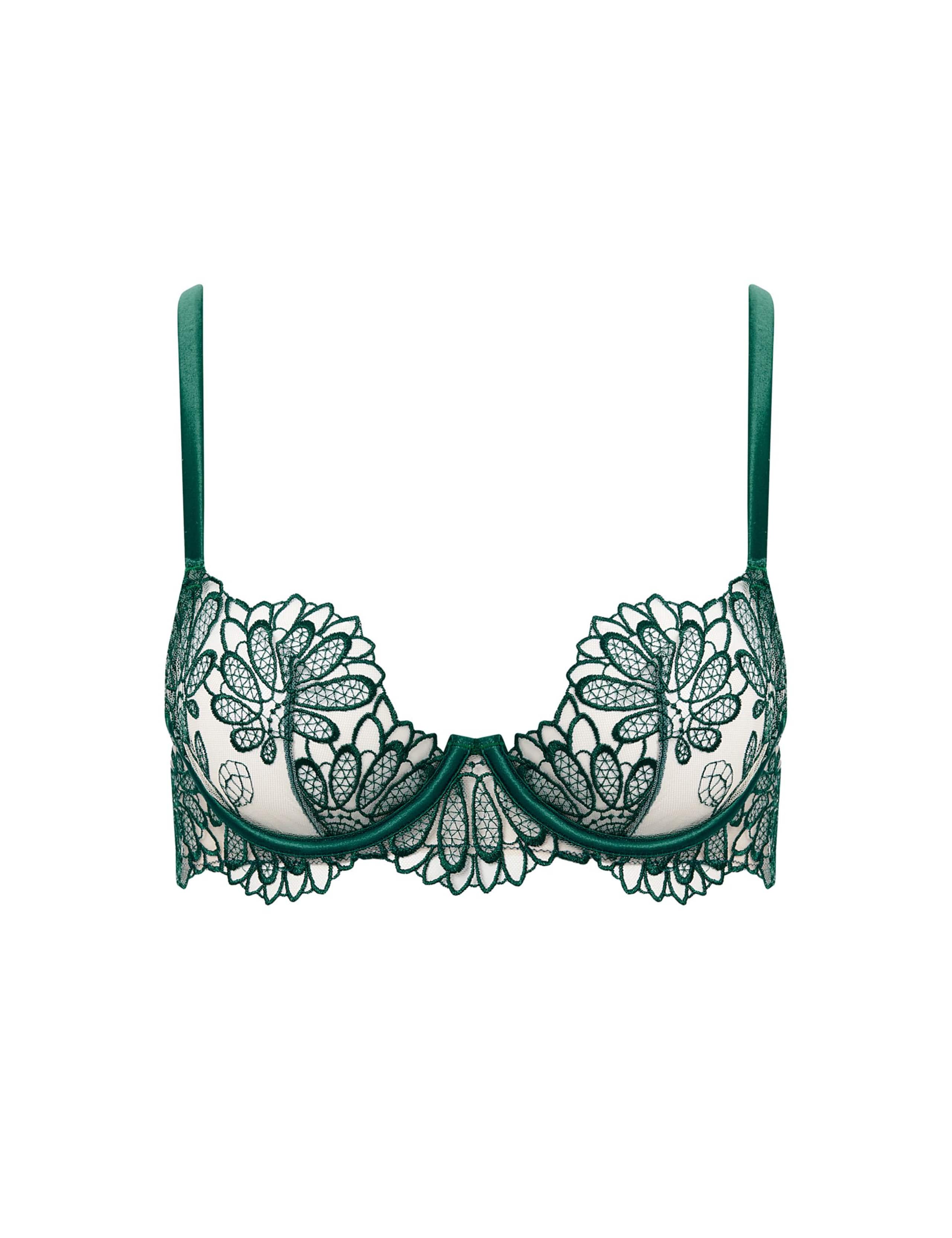 Amaris Sheer Embroidered Wired Bra A-E 1 of 2