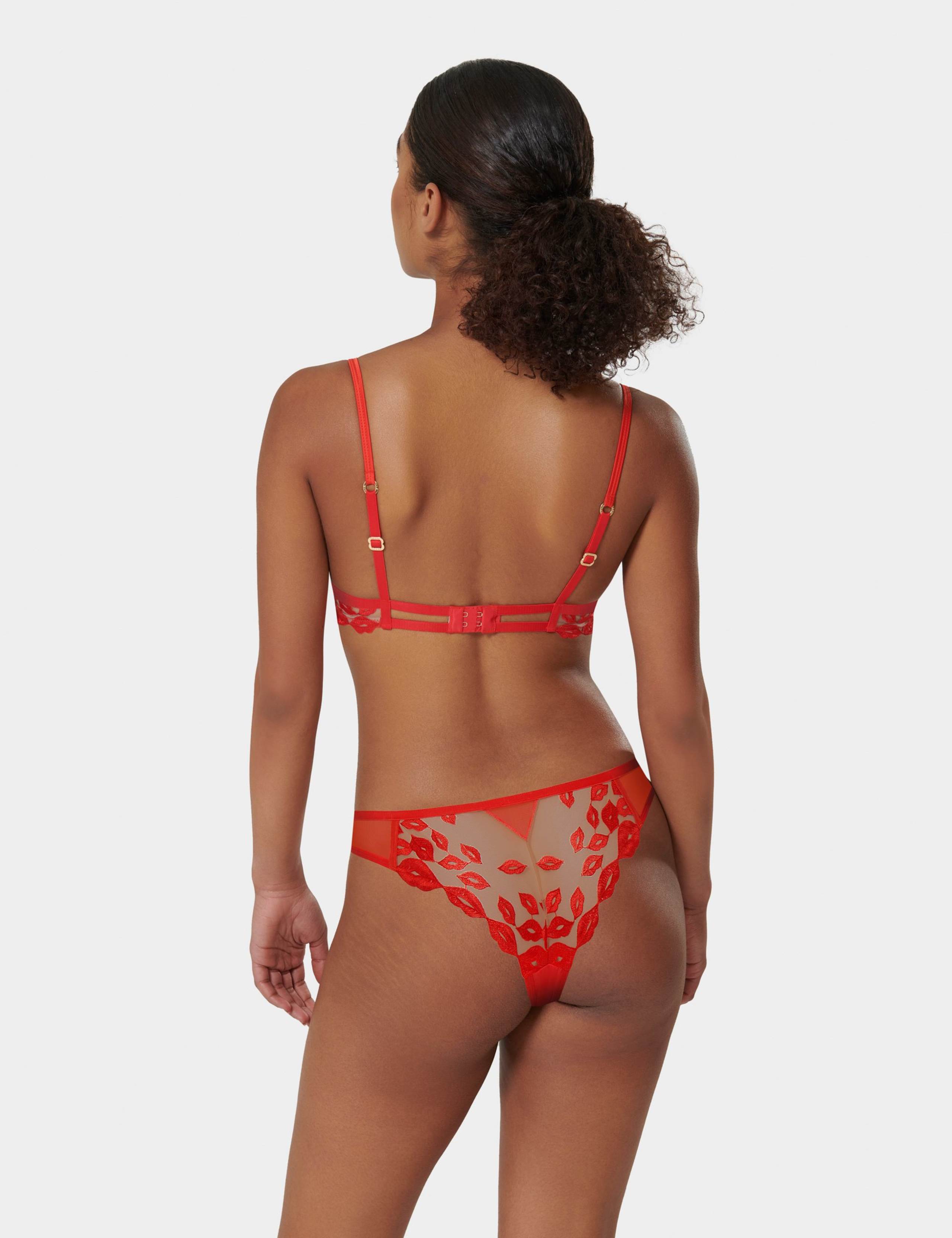 Marian Embroidered Sheer Brazilian Knickers 4 of 4