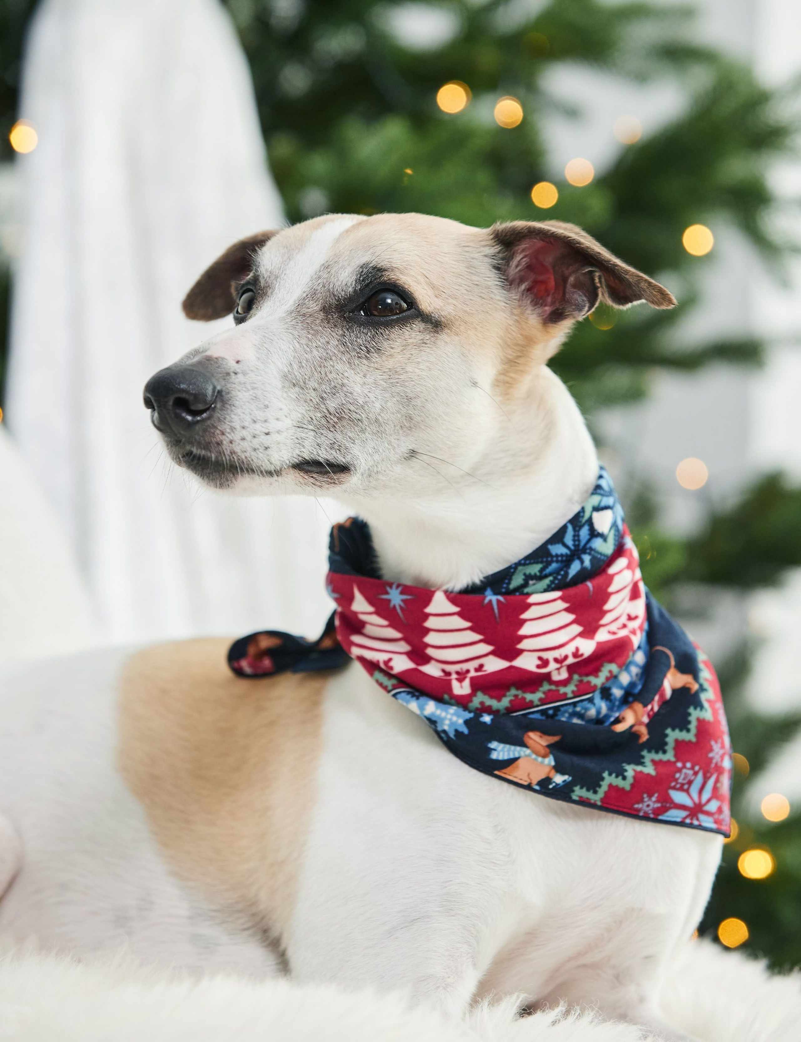 Christmas Patterned Pet Neckerchief 1 of 4