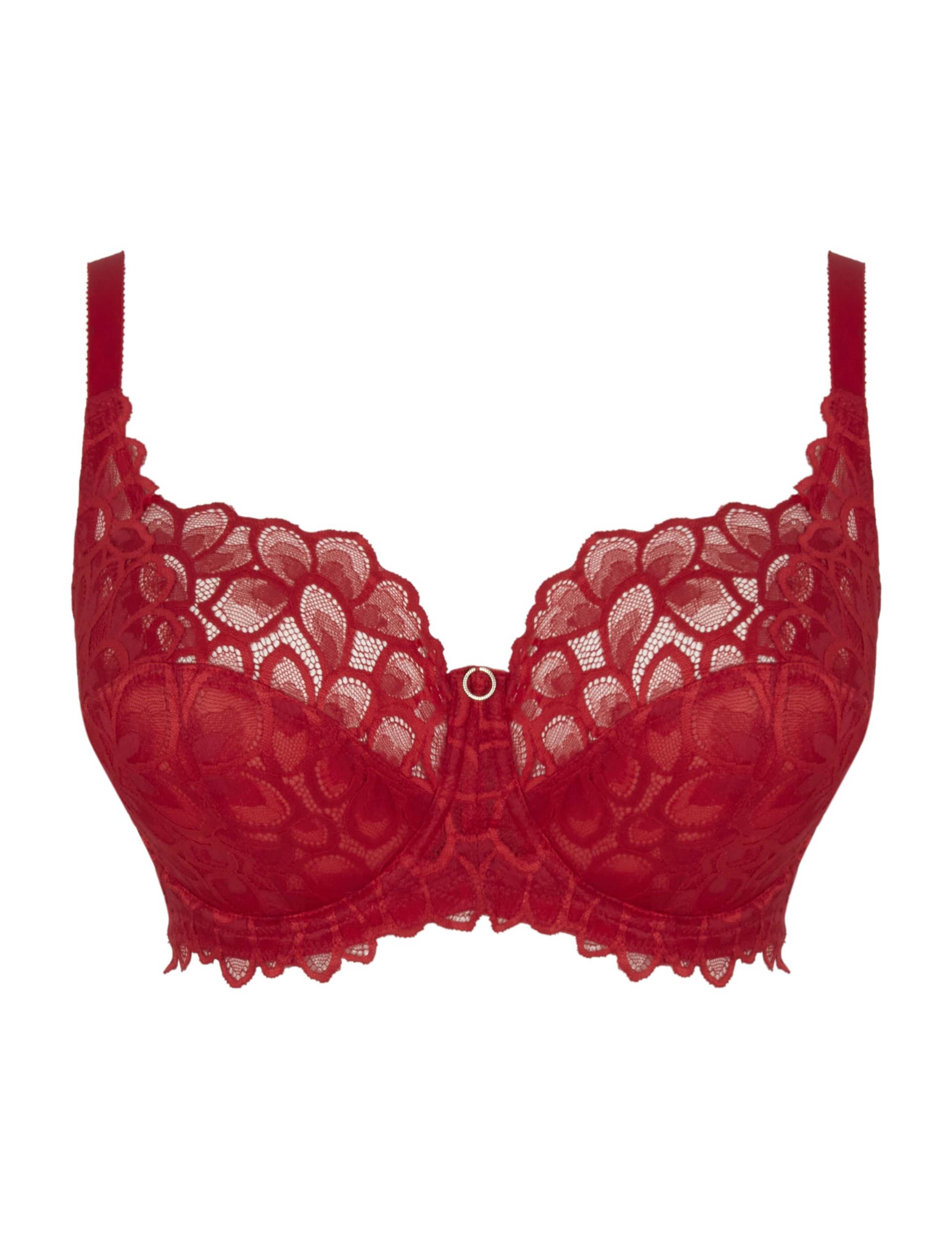 Allure Lace Wired Bra D-J 2 of 5