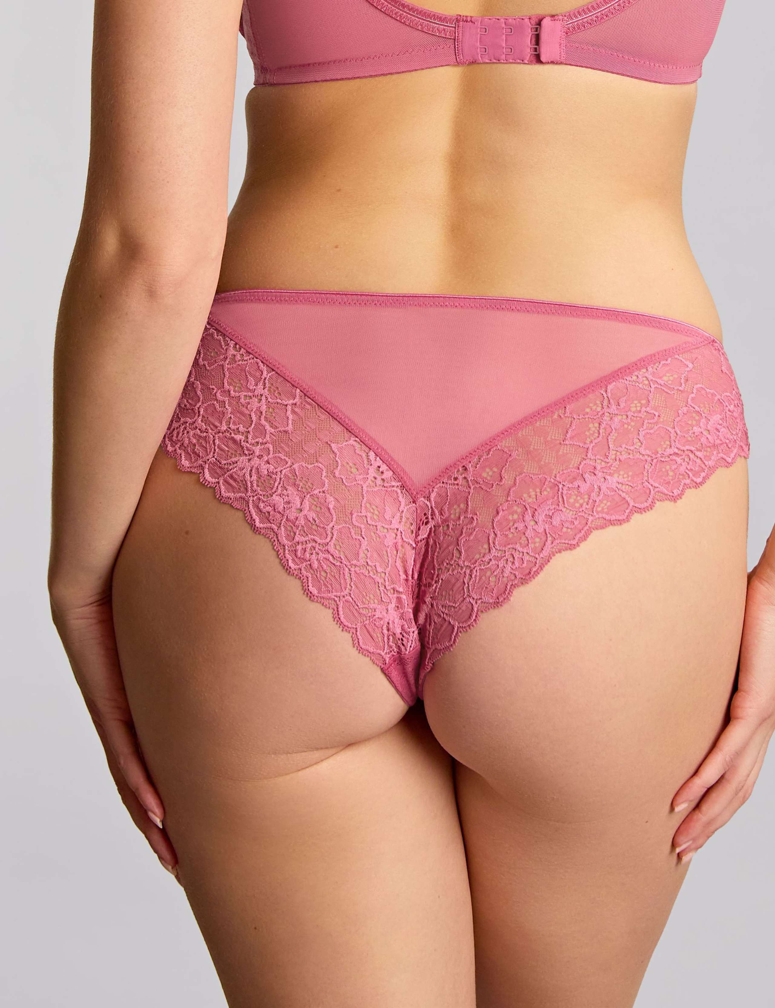 Envy Mesh & Lace Brazilian Knickers 3 of 3