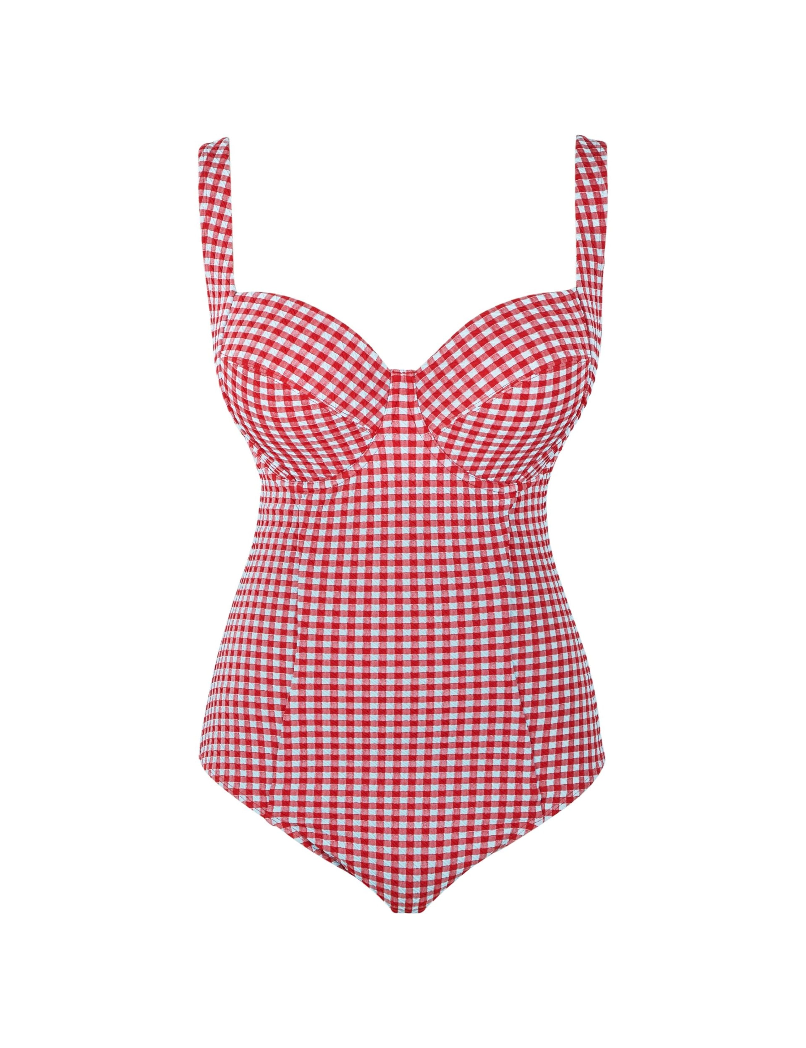 Paloma Gingham Wired Swimsuit D-K 2 of 3
