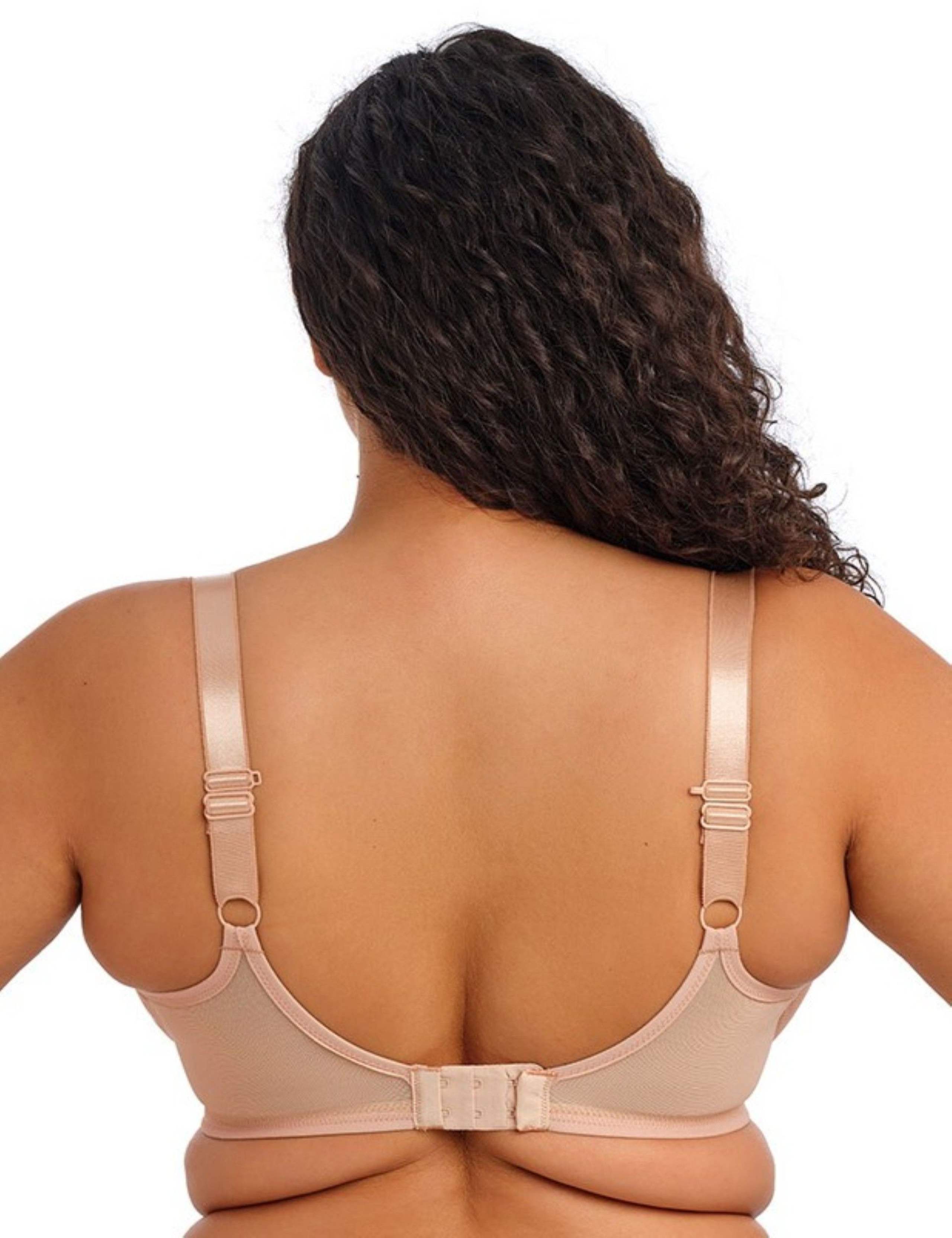 Tiernie Lace Wired Plunge Bra (DD-K) 3 of 4