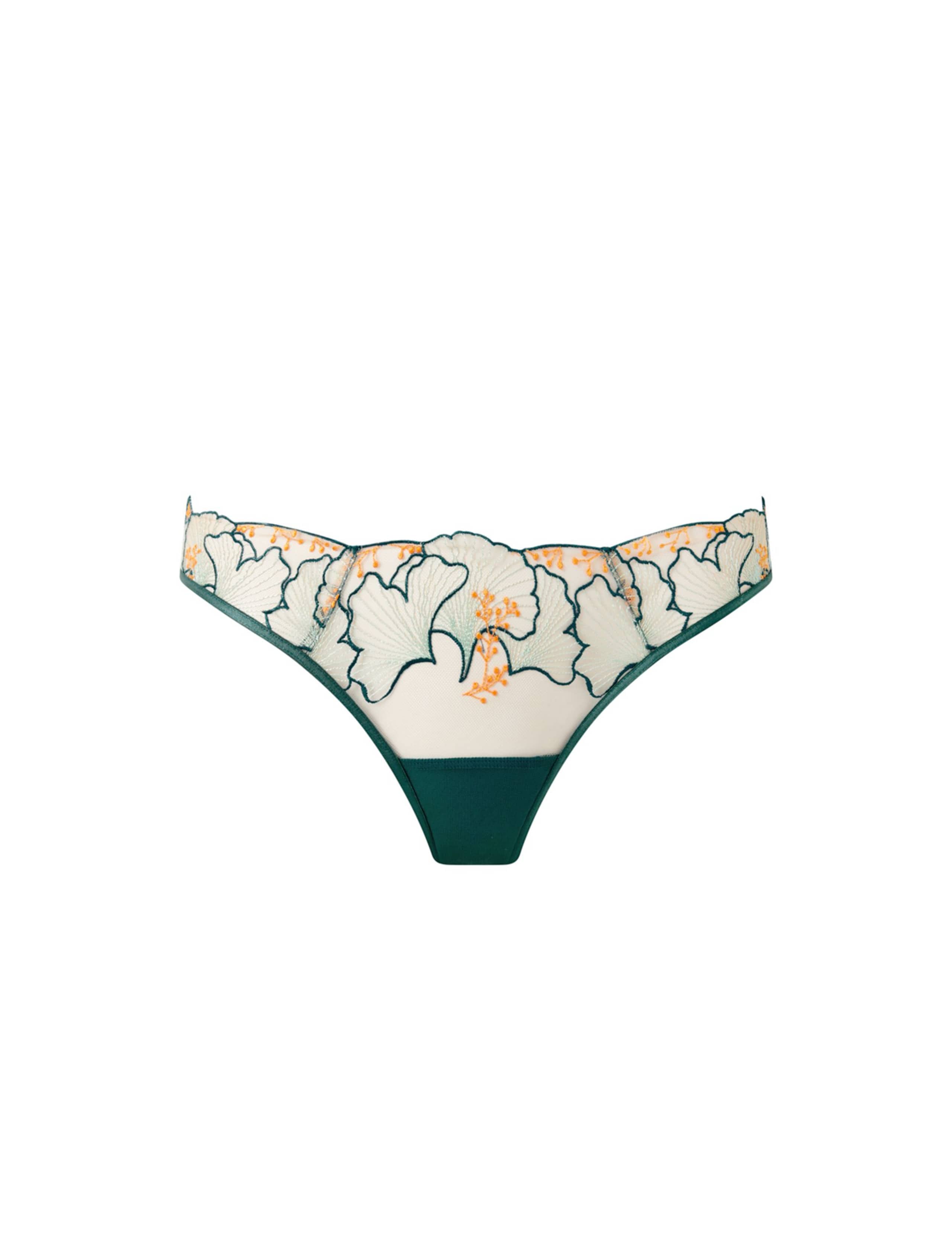 Gianna Brief 2 of 6