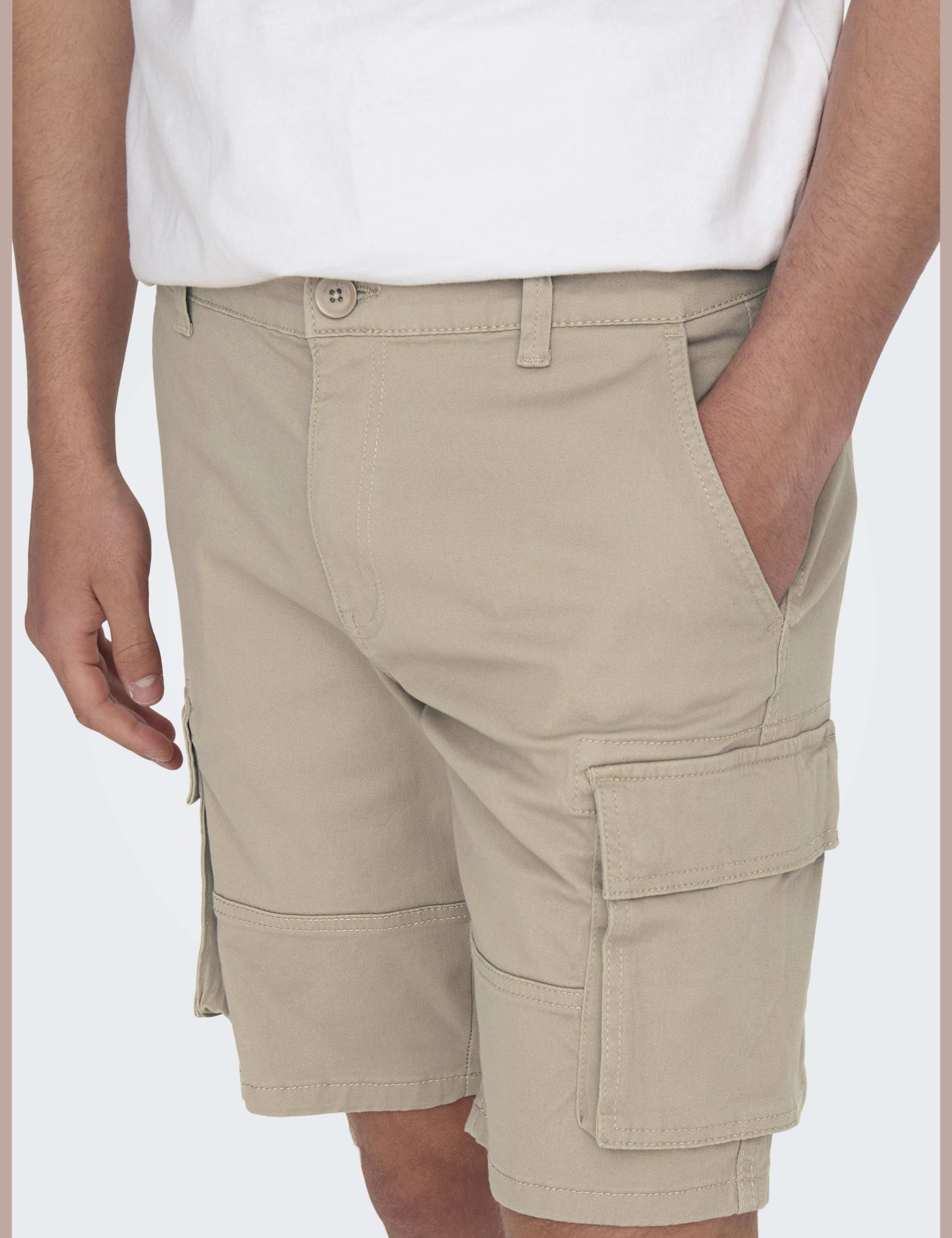 Regular Fit Cargo Shorts 3 of 6