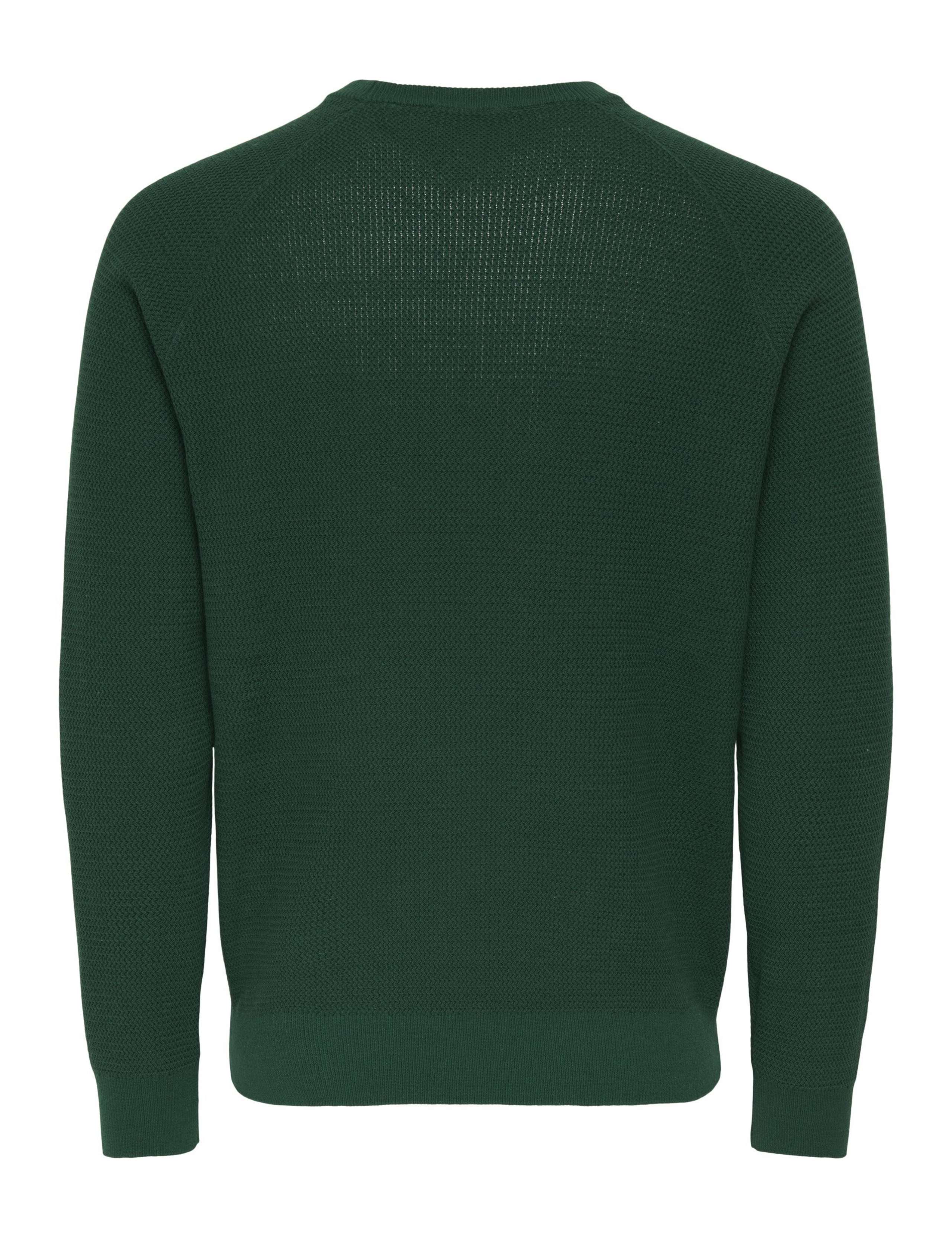 Cotton Rich Crew Neck Jumper 2 of 2