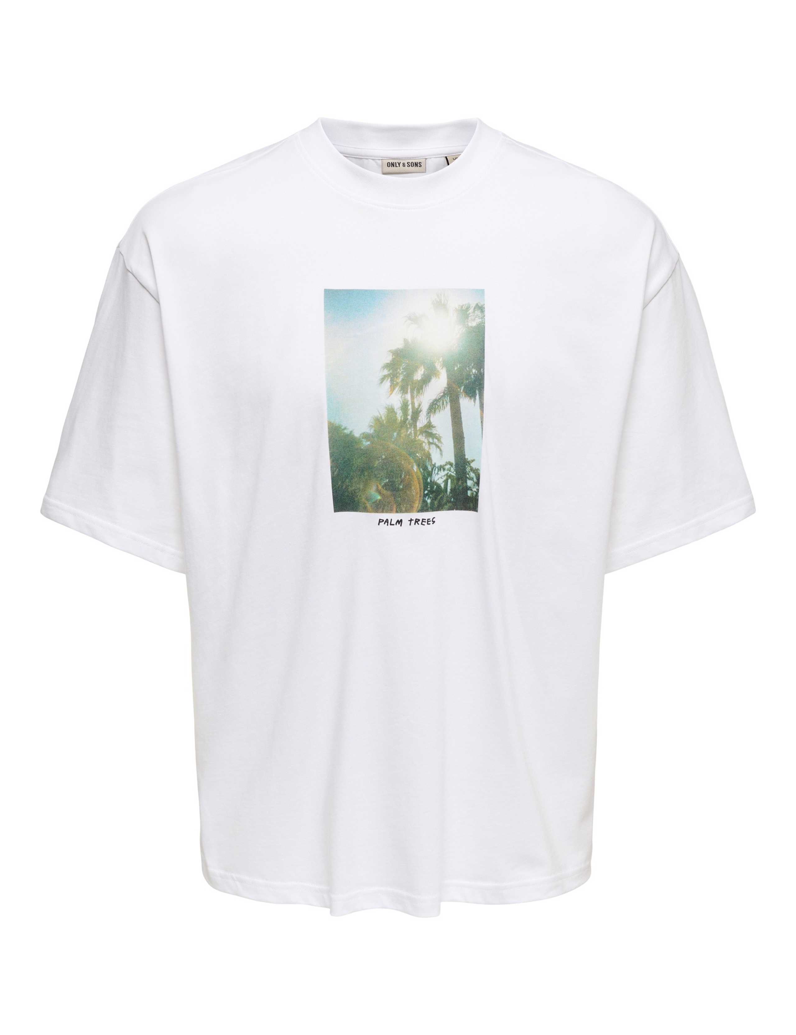 Oversized Pure Cotton Crew Neck T-Shirt 6 of 6