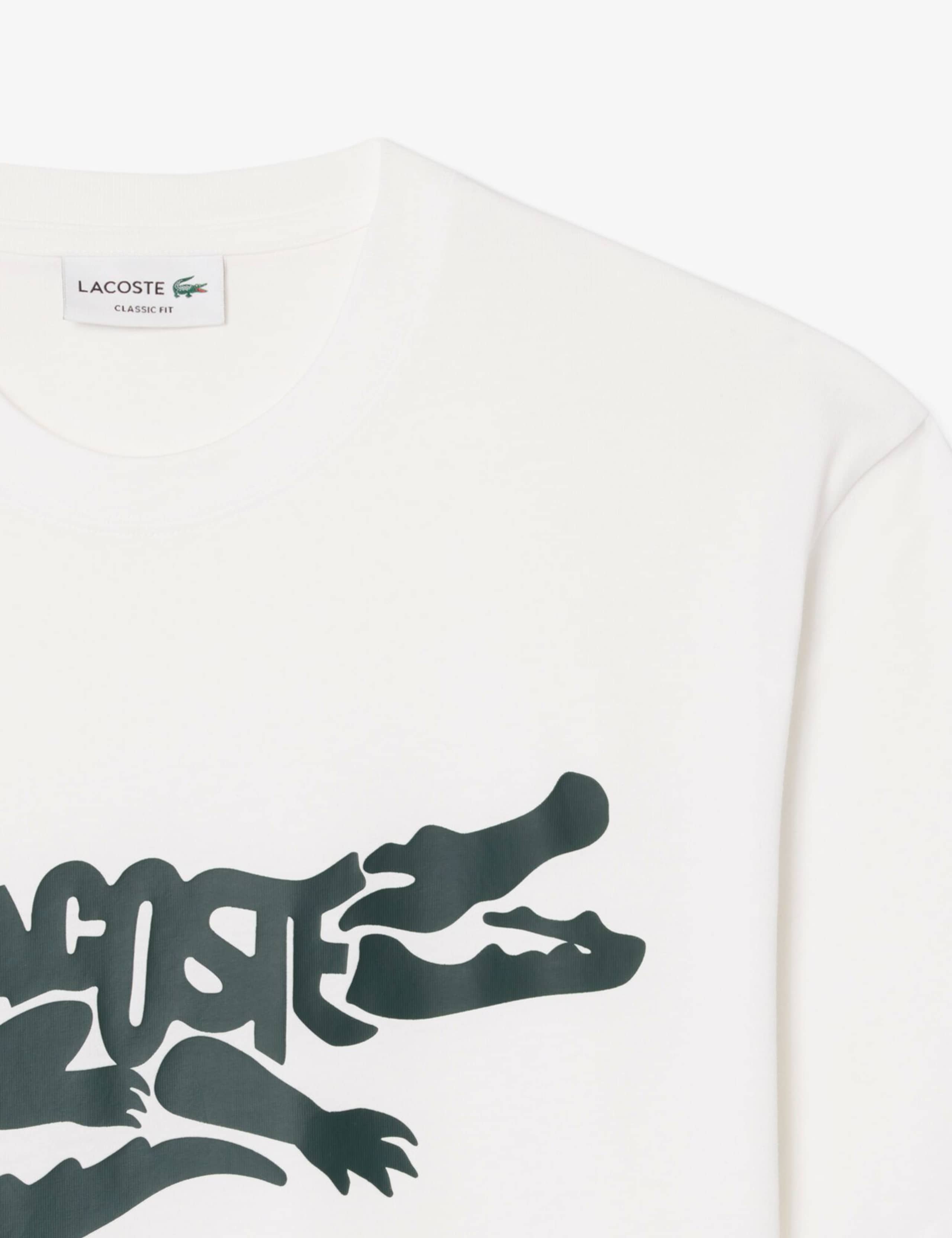 Regular Fit Pure Cotton Printed T-Shirt 5 of 8