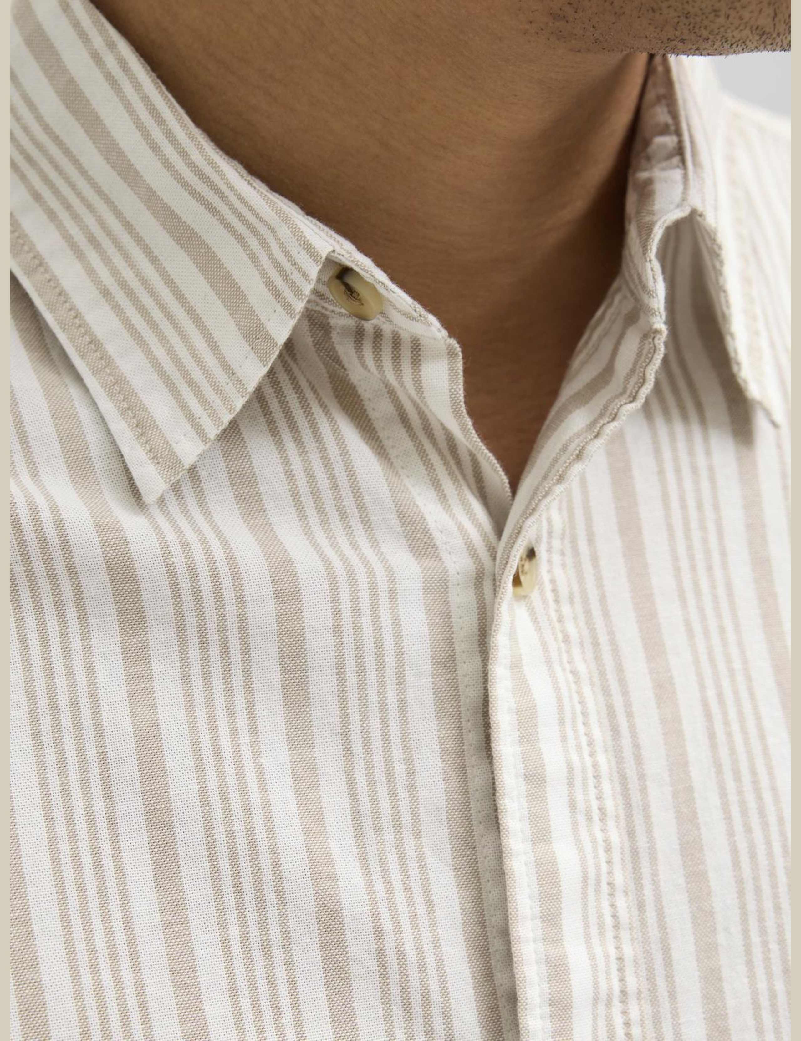 Pure Cotton Striped Oxford Shirt 7 of 8