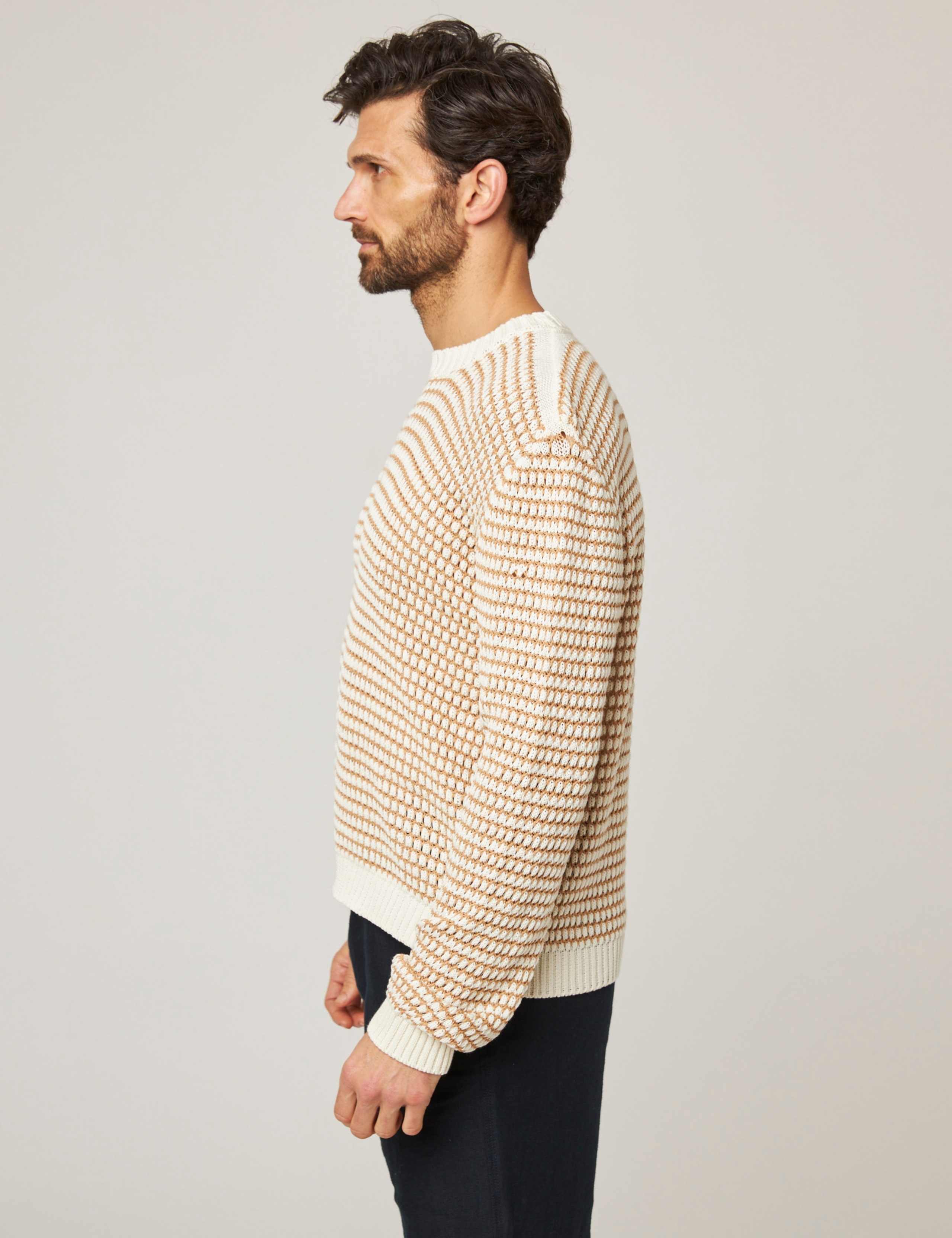 Pure Cotton Crew Neck Jumper 4 of 5