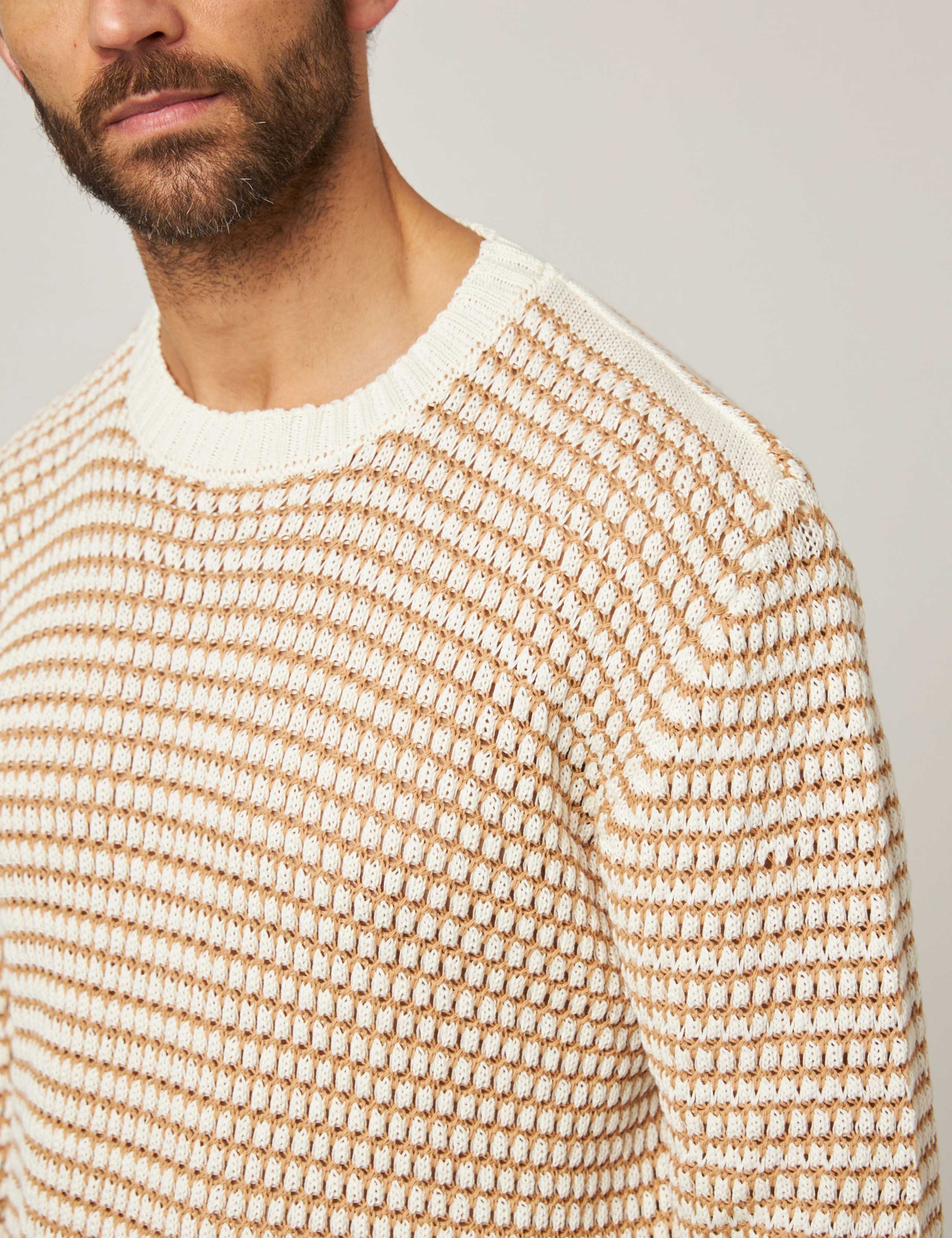 Pure Cotton Crew Neck Jumper 5 of 5