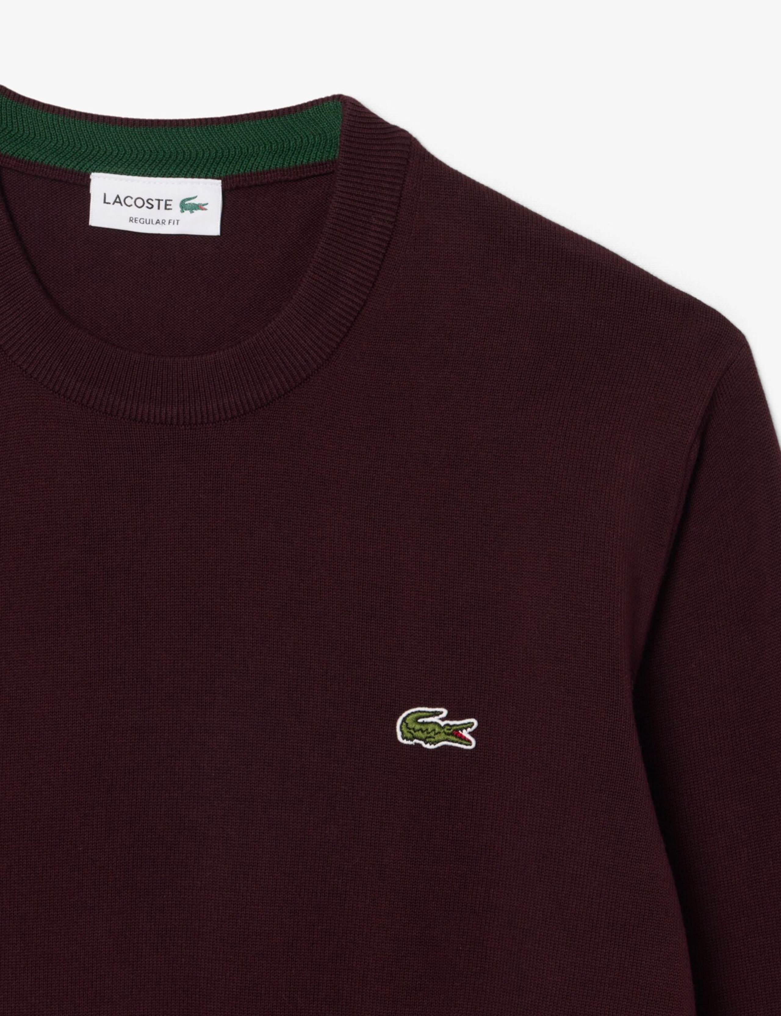 Pure Cotton Crew Neck Jumper 2 of 3