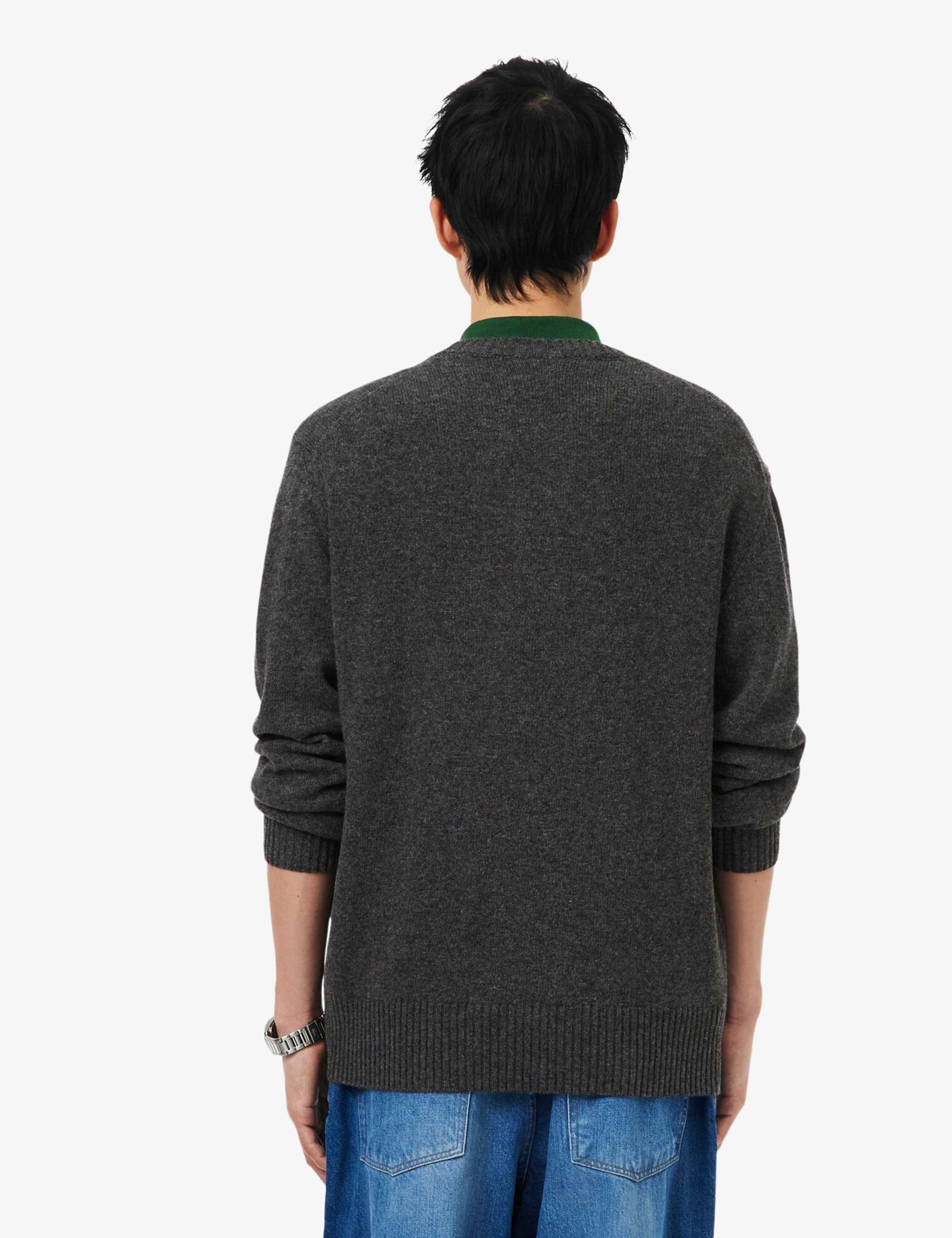 Pure Merino Wool Crew Neck Jumper 4 of 6