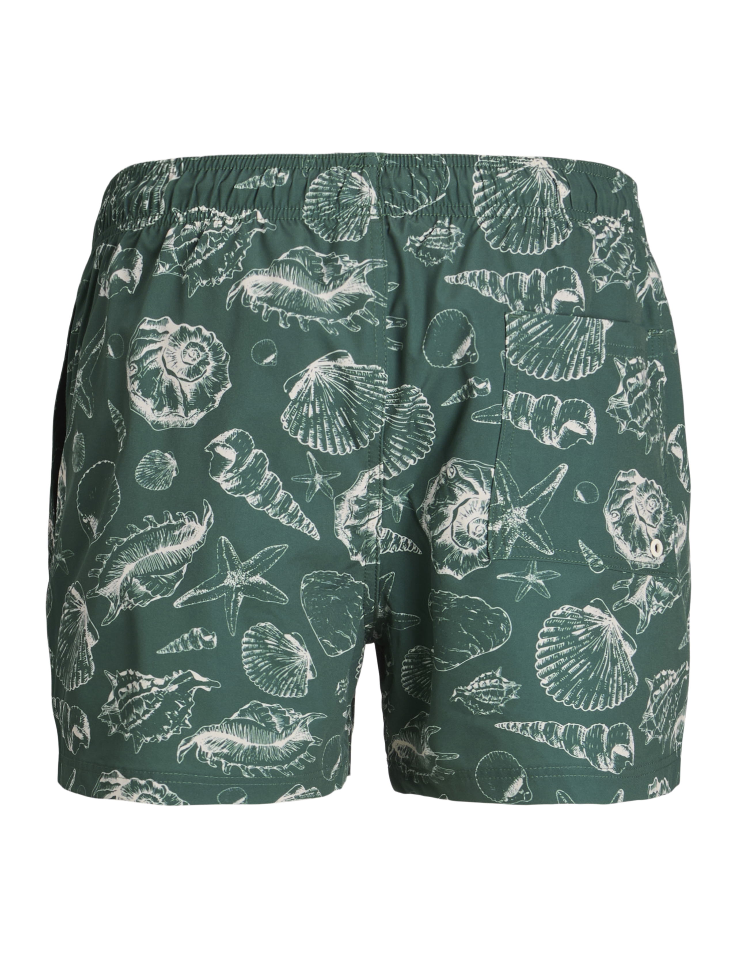 Shell Print Swim Shorts 4 of 8