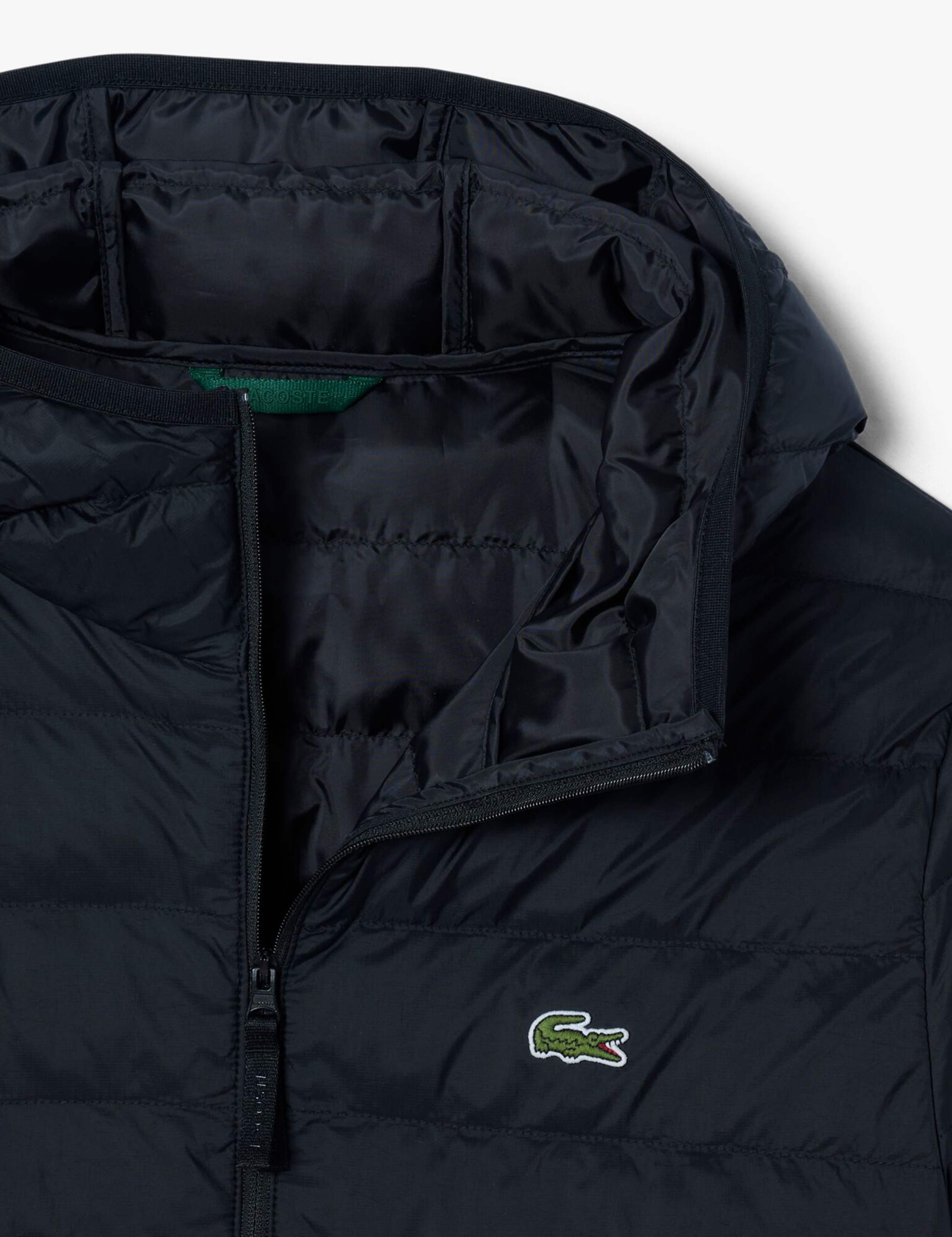 Lightweight Water-Repellent Jacket 6 of 8