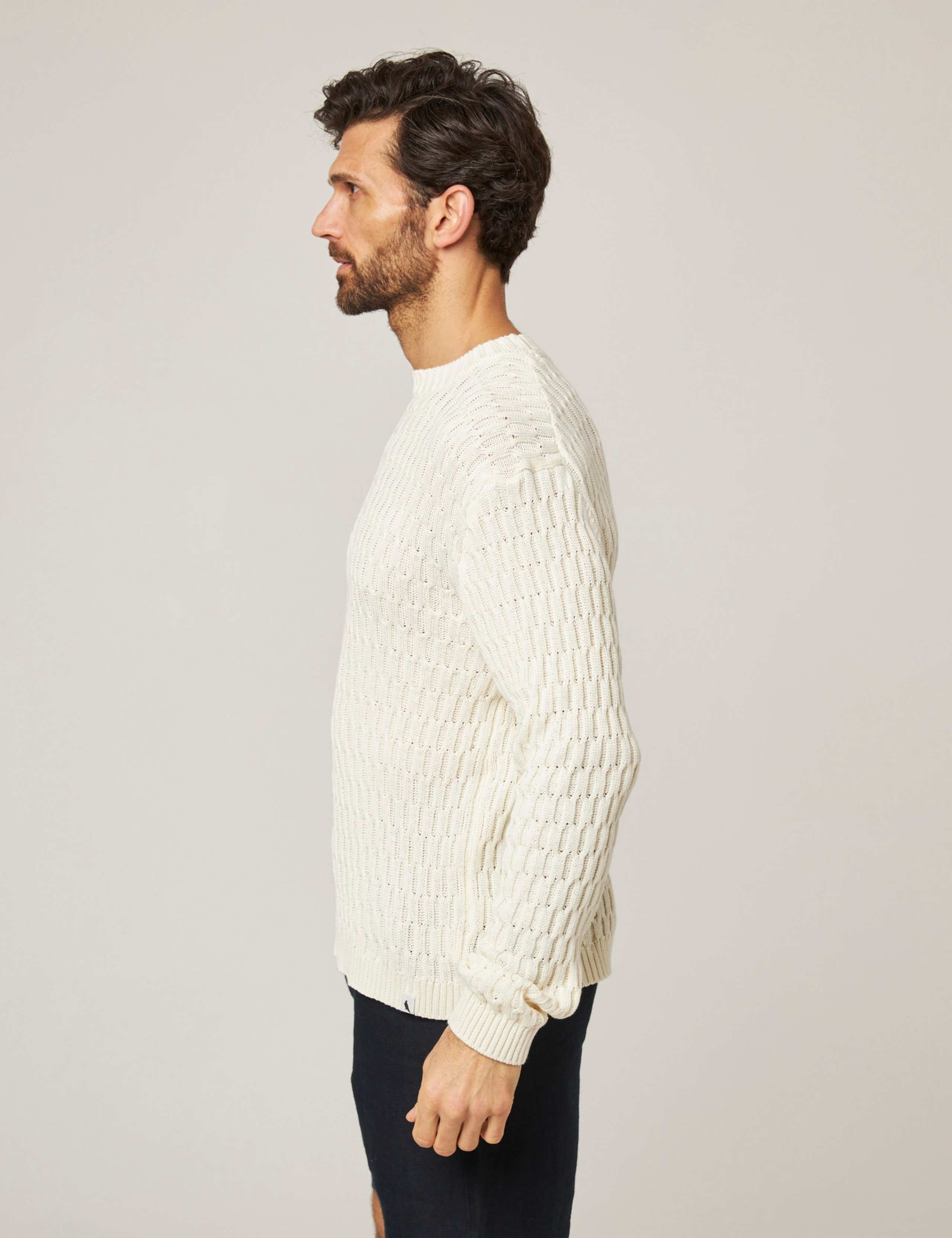 Pure Cotton Textured Jumper 4 of 4