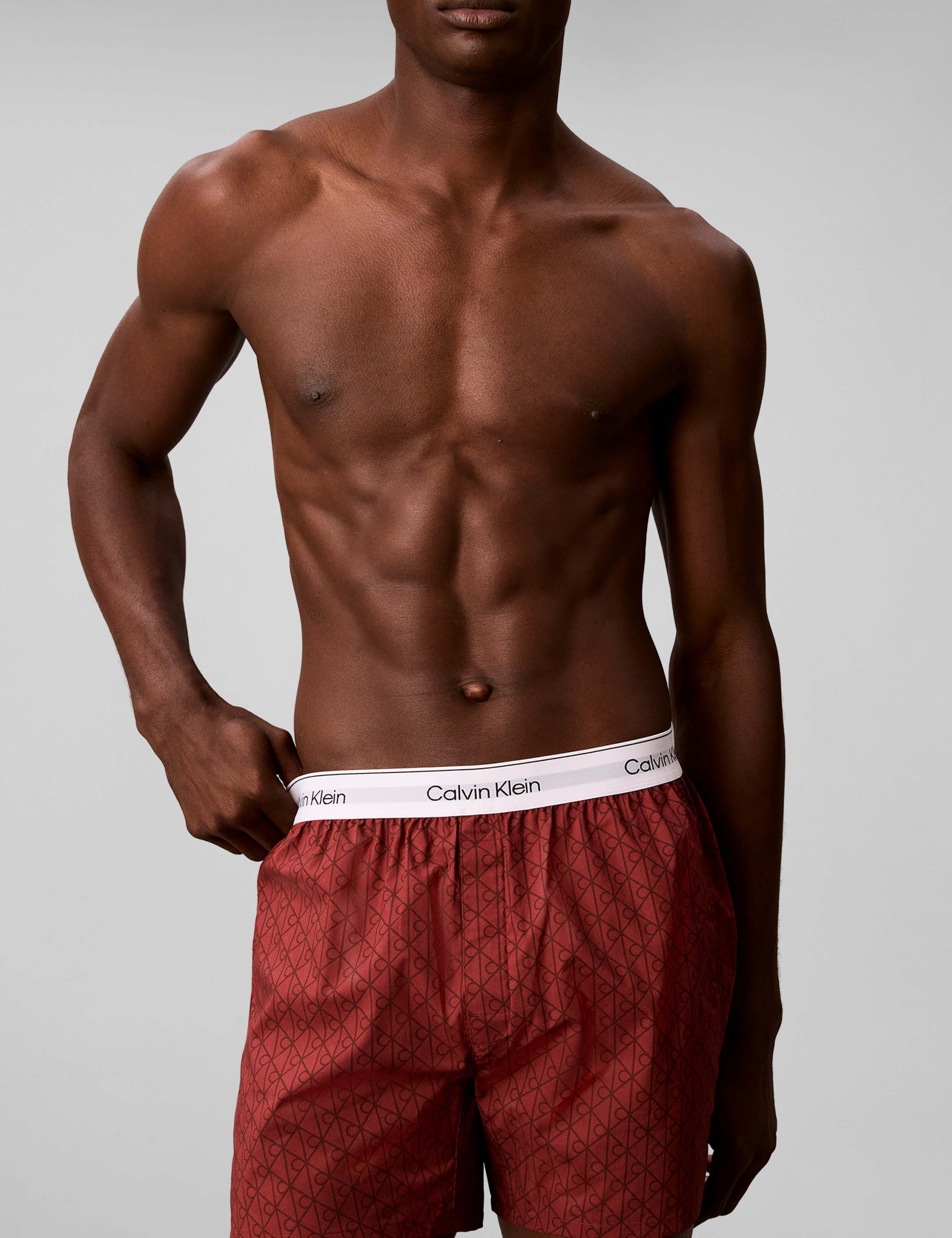 Cotton Poplin Woven Boxers 4 of 6