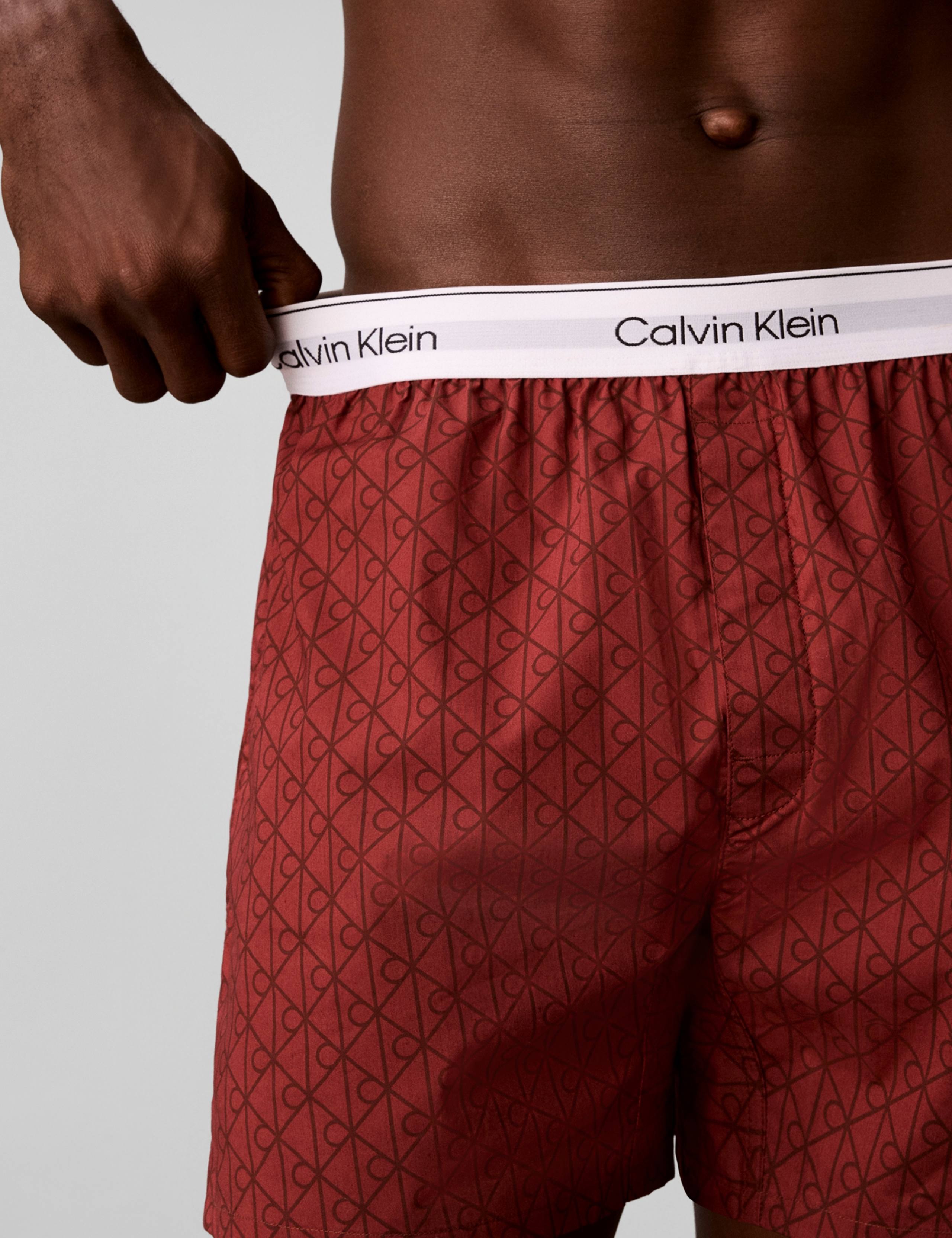 Cotton Poplin Woven Boxers 5 of 6