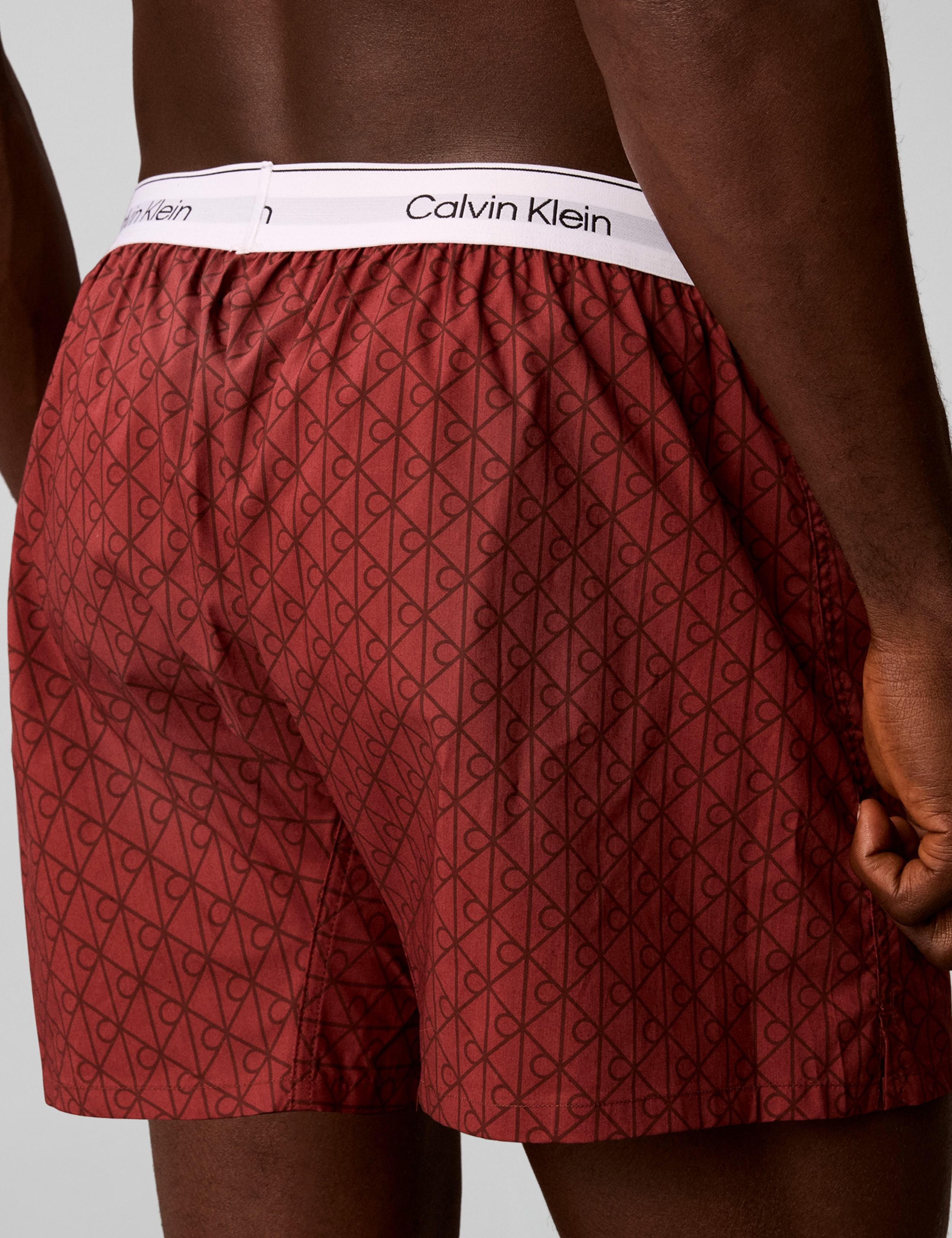 Cotton Poplin Woven Boxers 6 of 6