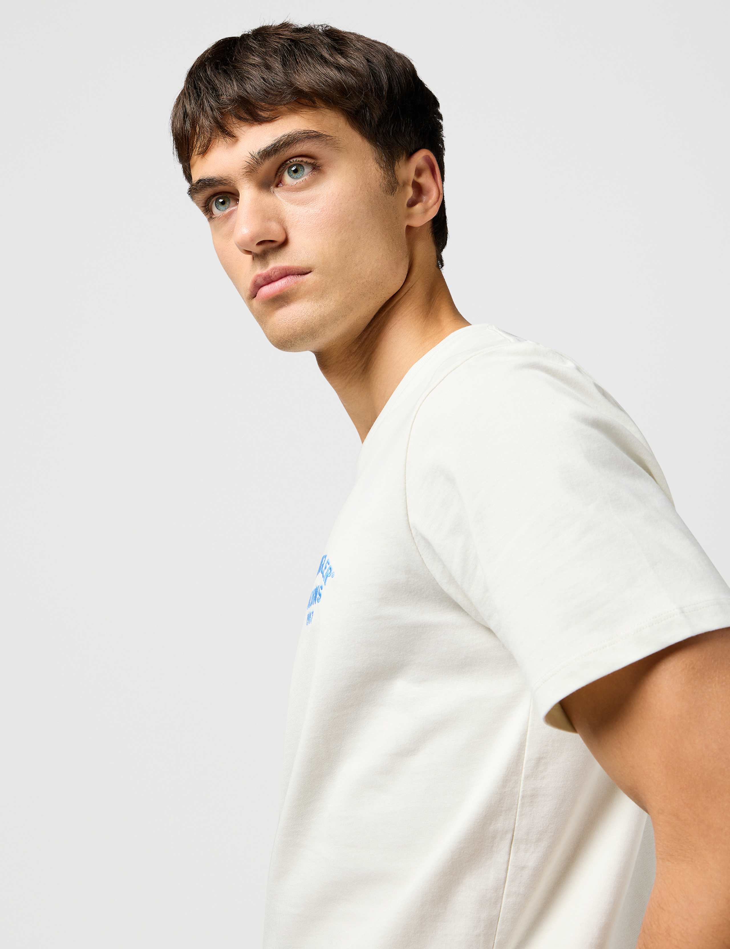 Pure Cotton T-Shirt 6 of 9