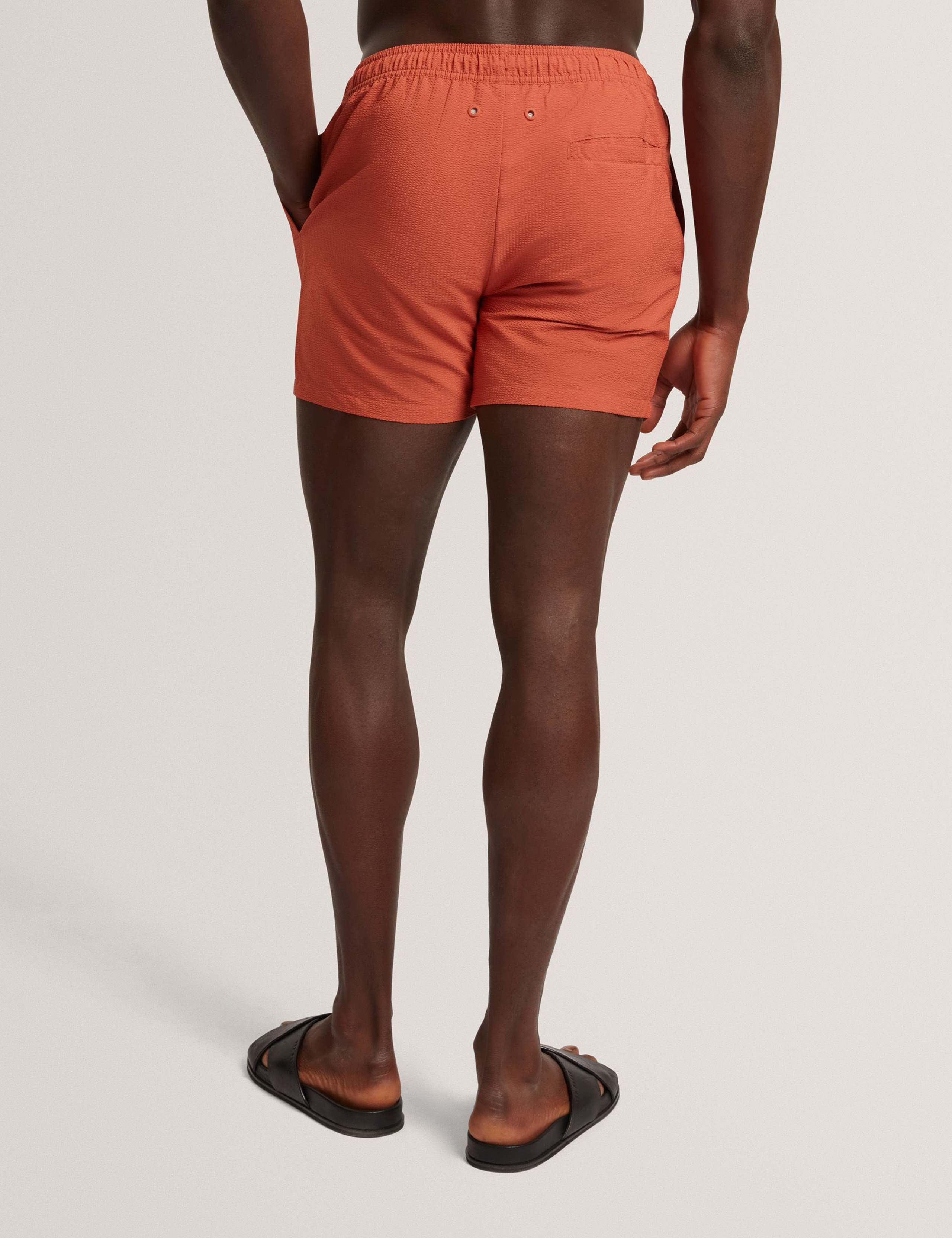 Heffner Seersucker Swim Shorts 3 of 6