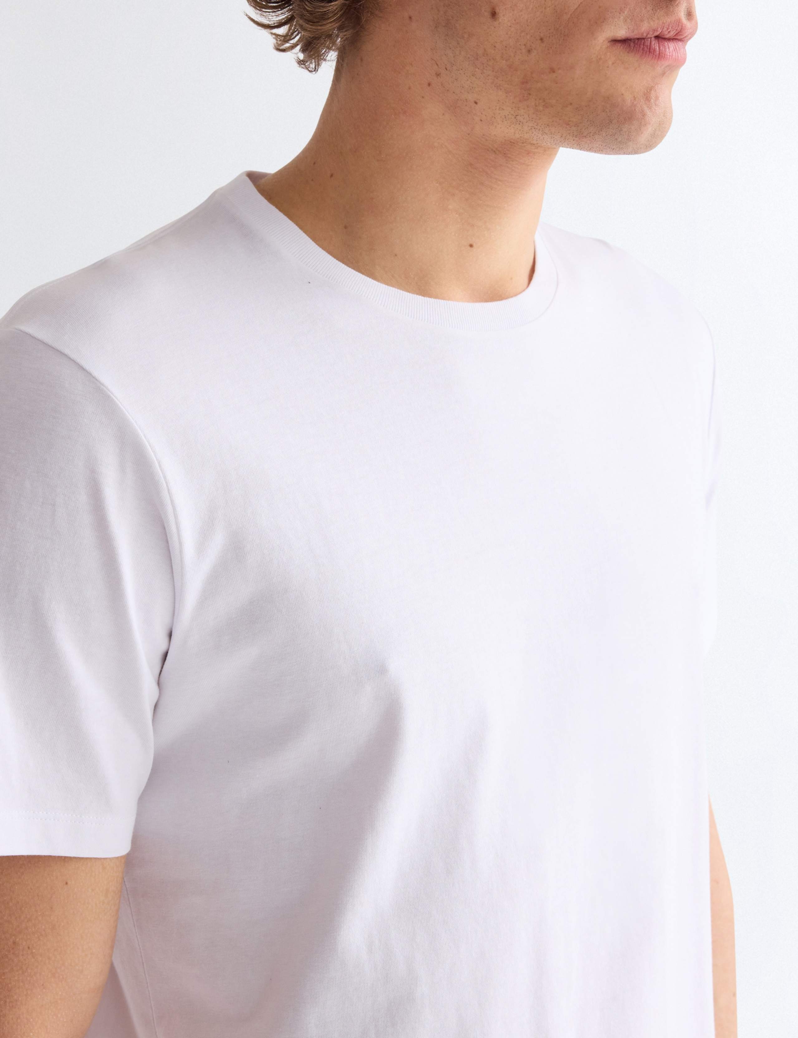 3 Pack Pure Cotton Jersey T-Shirts 13 of 13