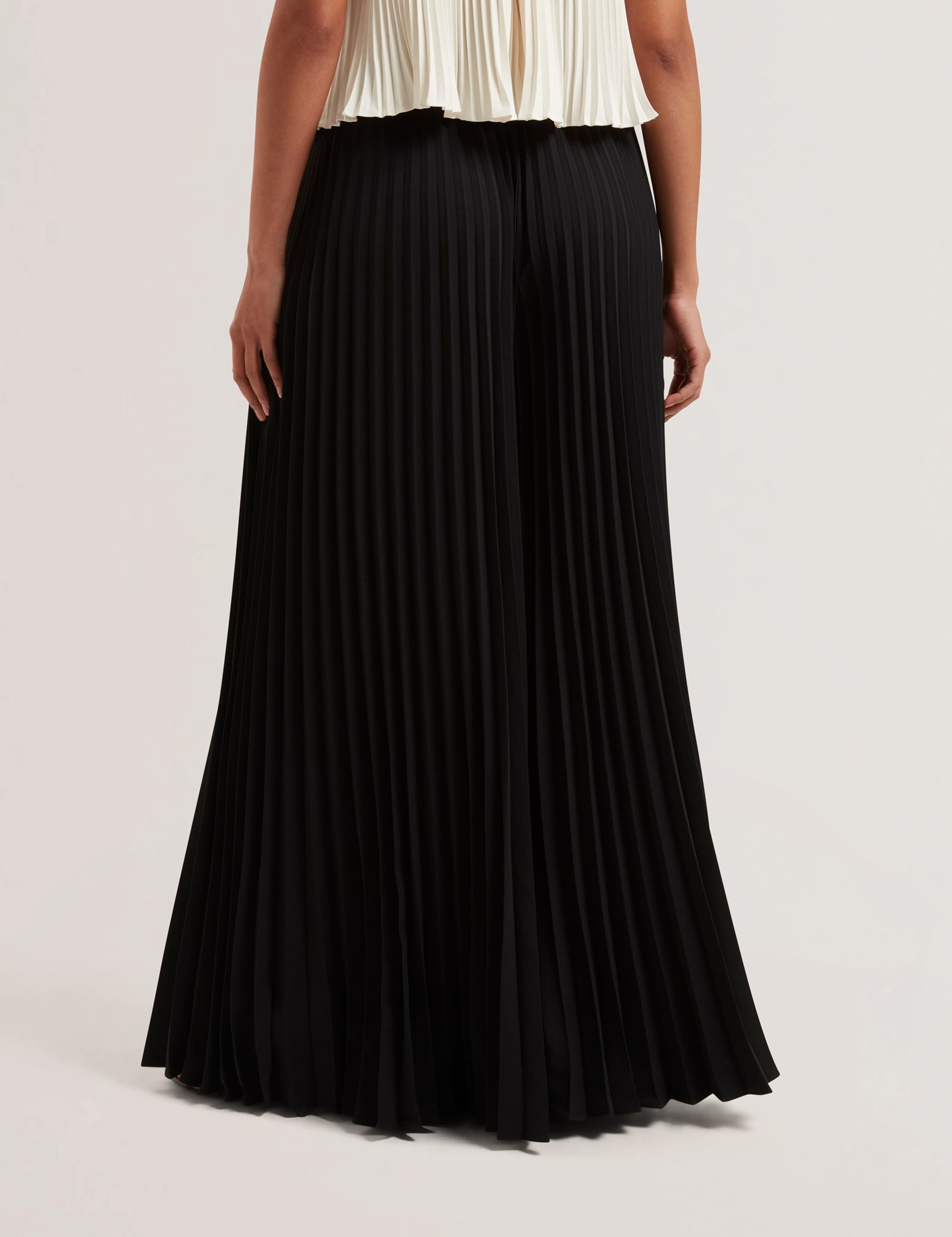 Pleated Wide Leg Trousers 4 of 5