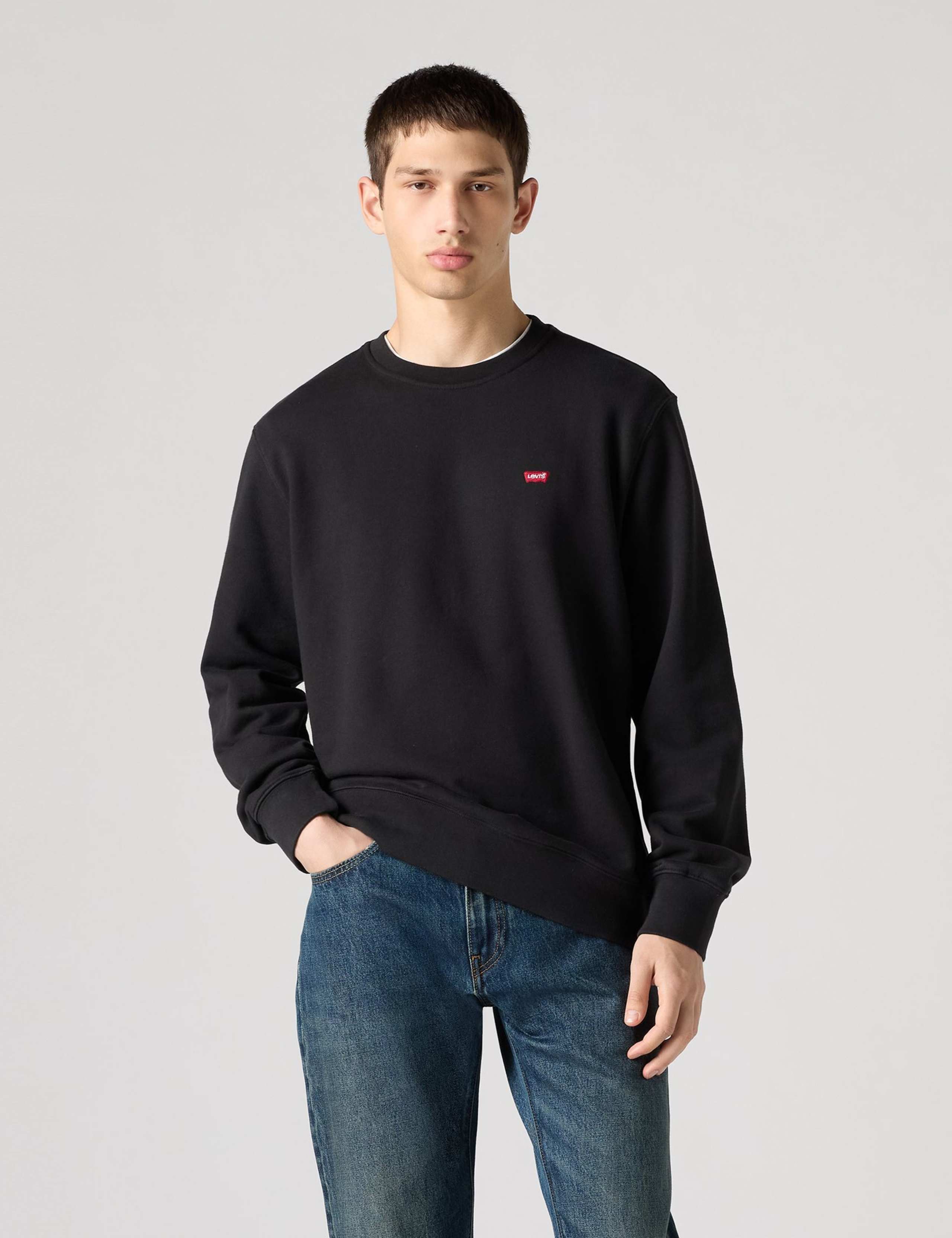Regular Fit Pure Cotton Crew Neck Sweatshirt 3 of 4