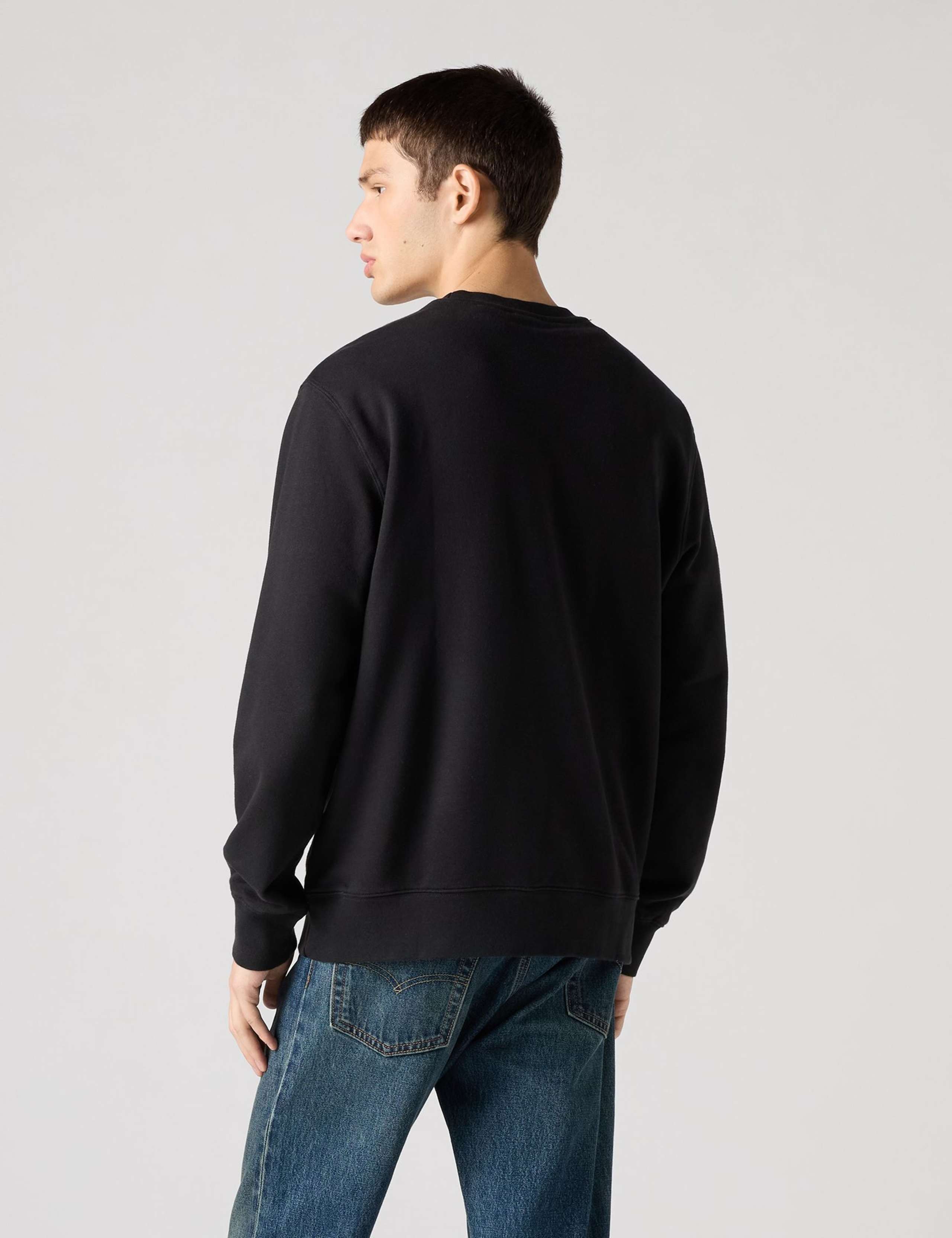 Regular Fit Pure Cotton Crew Neck Sweatshirt 4 of 4