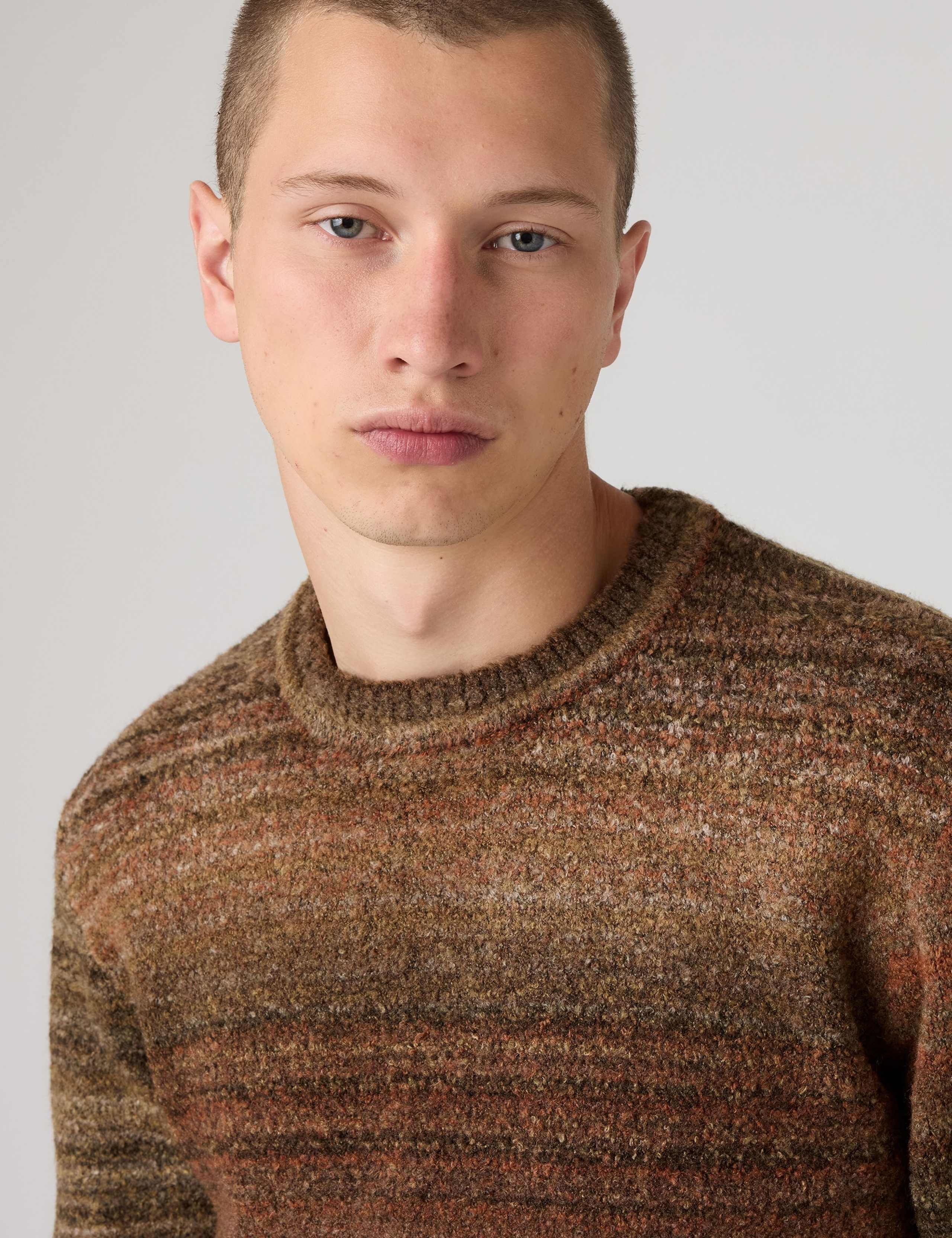 Regular Fit Striped Crew Neck Jumper 4 of 5