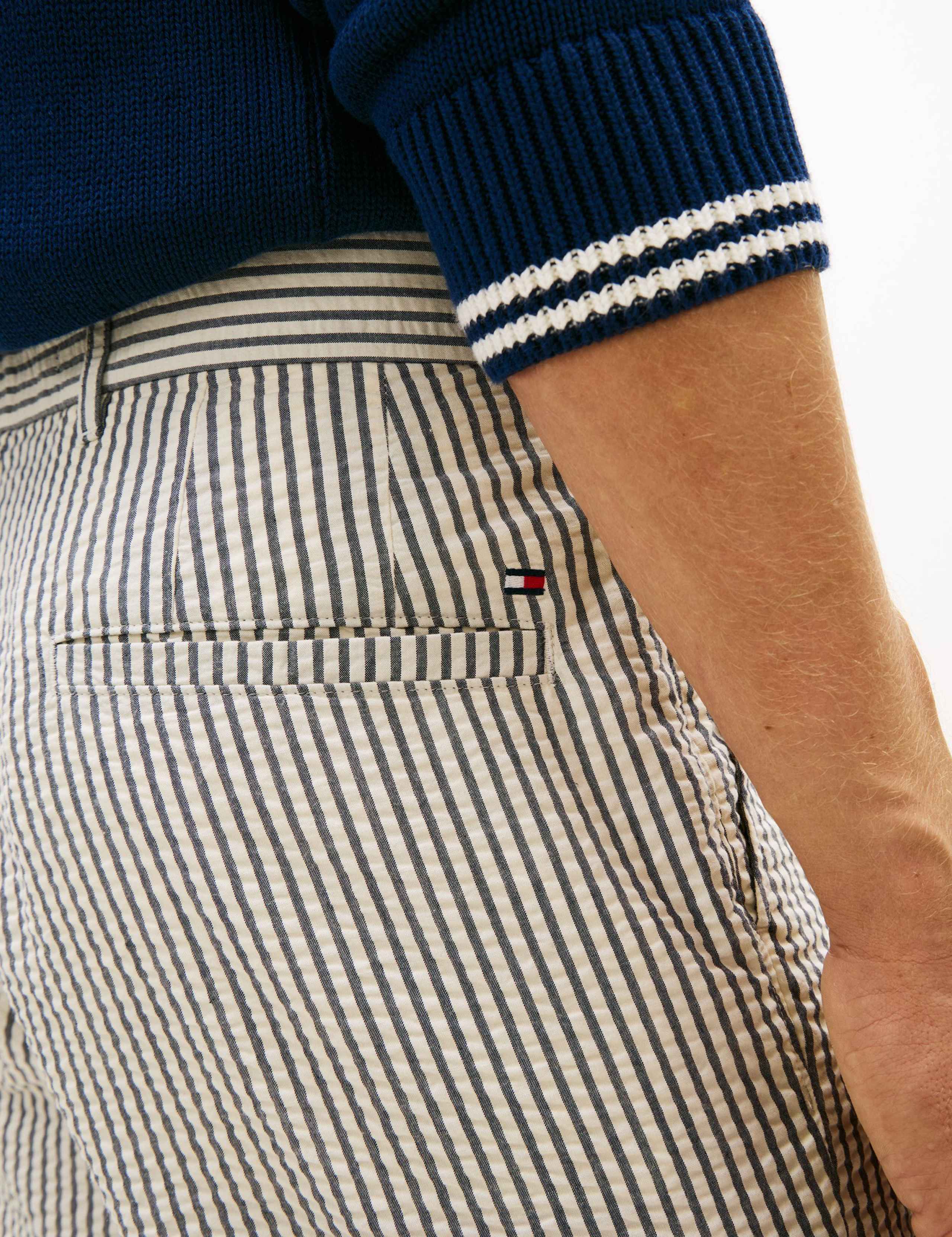 Regular Fit Striped Chino Shorts 5 of 5