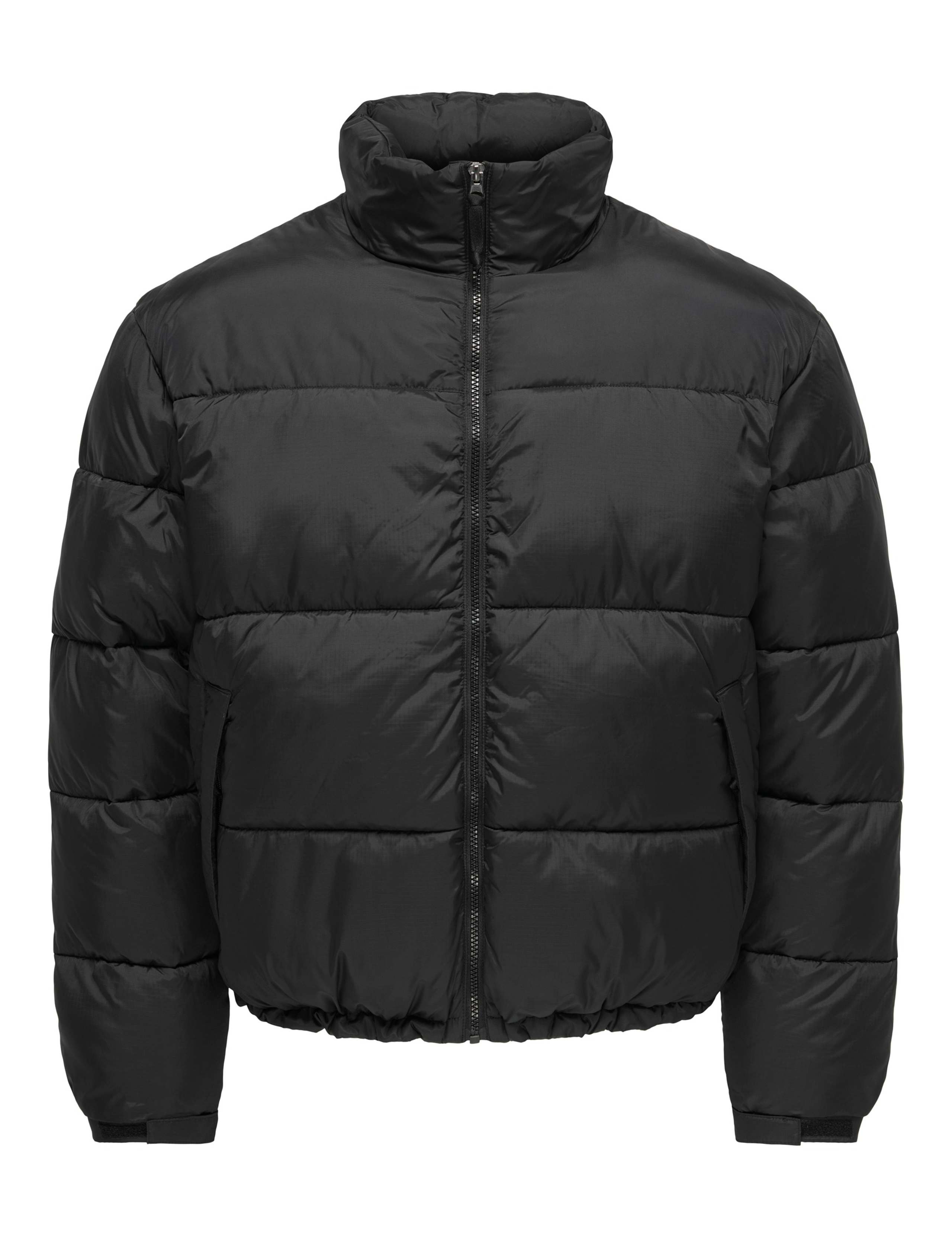 Padded Coat 6 of 9