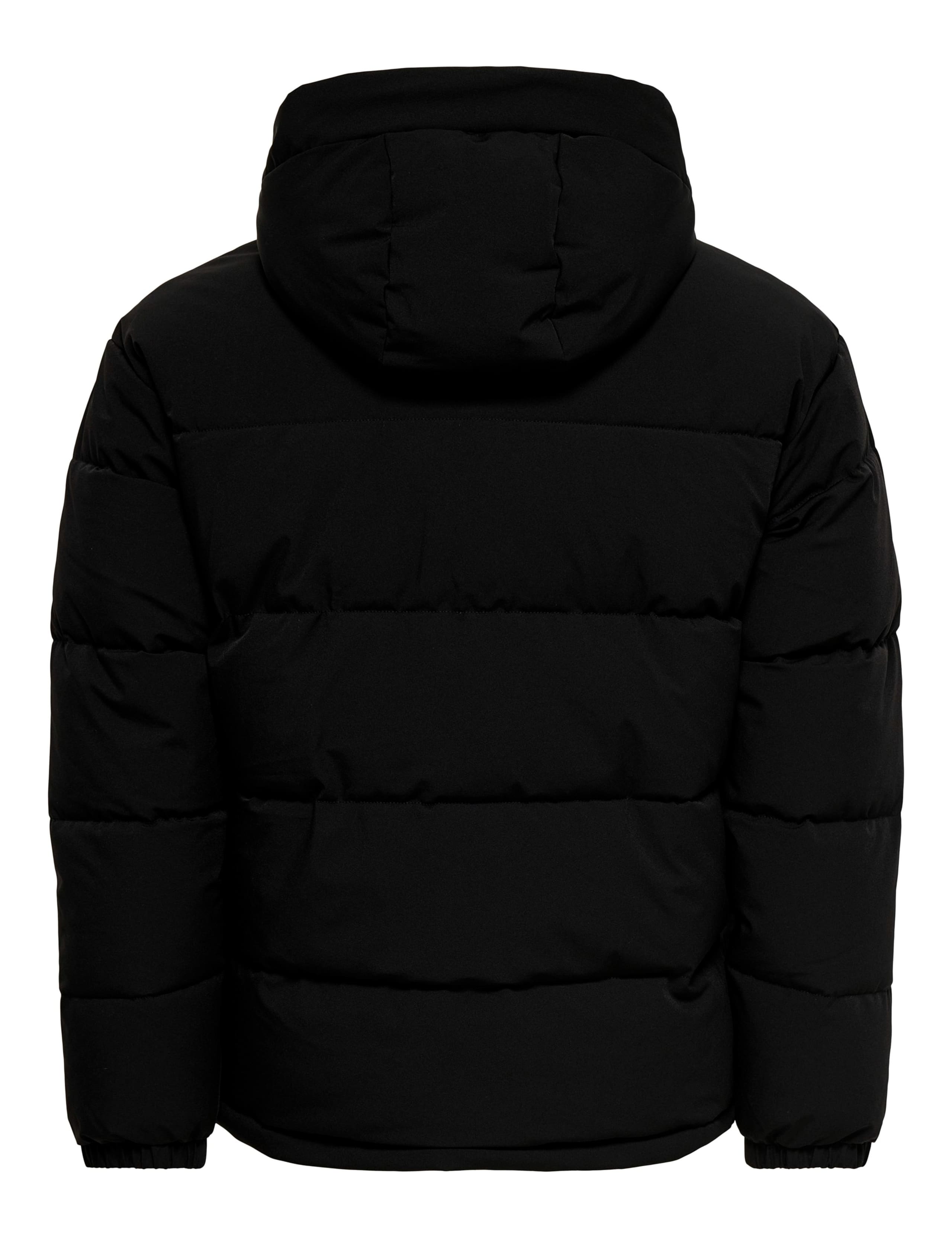 Padded Hooded Puffer Jacket 2 of 4