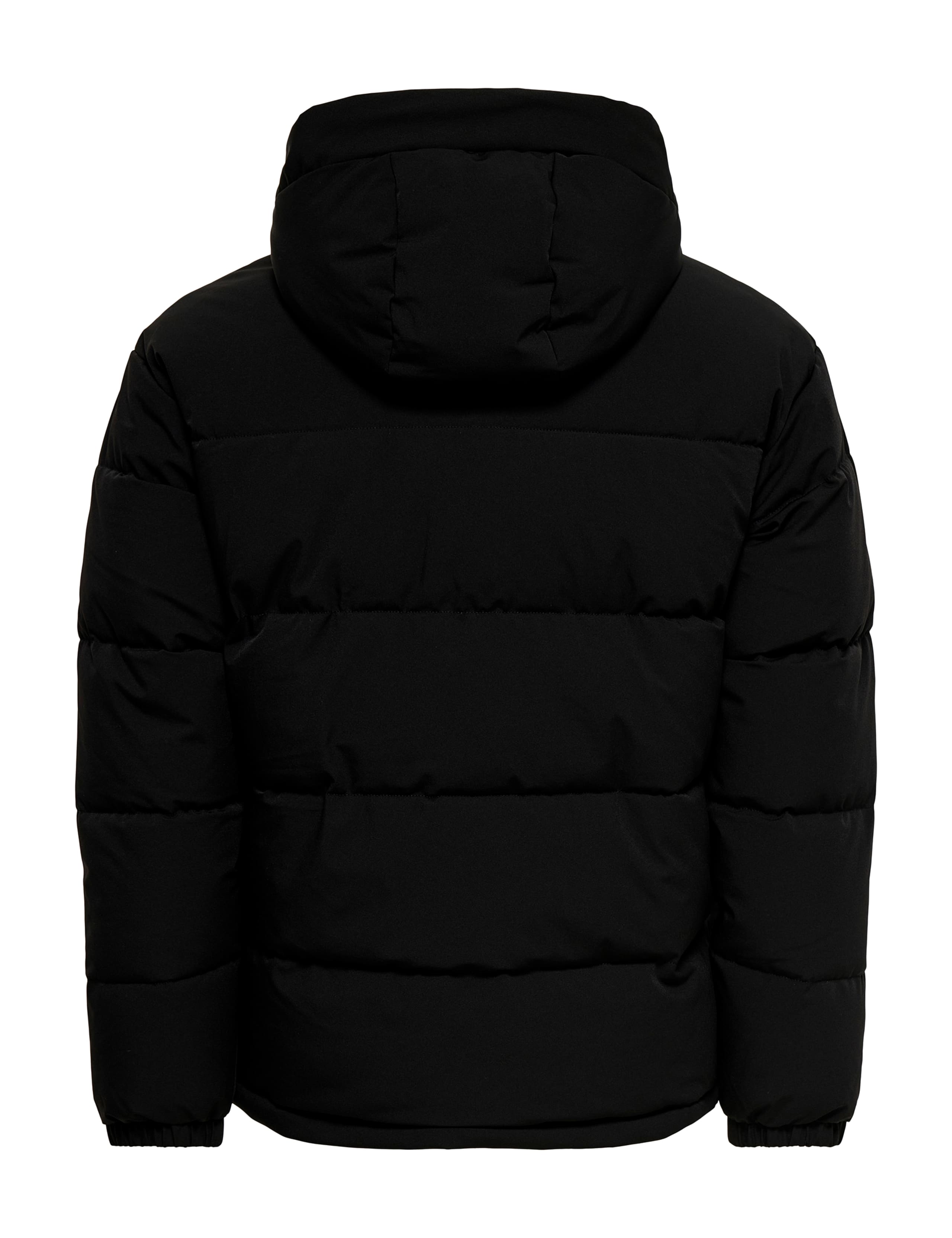 Padded Hooded Puffer Jacket 8 of 8