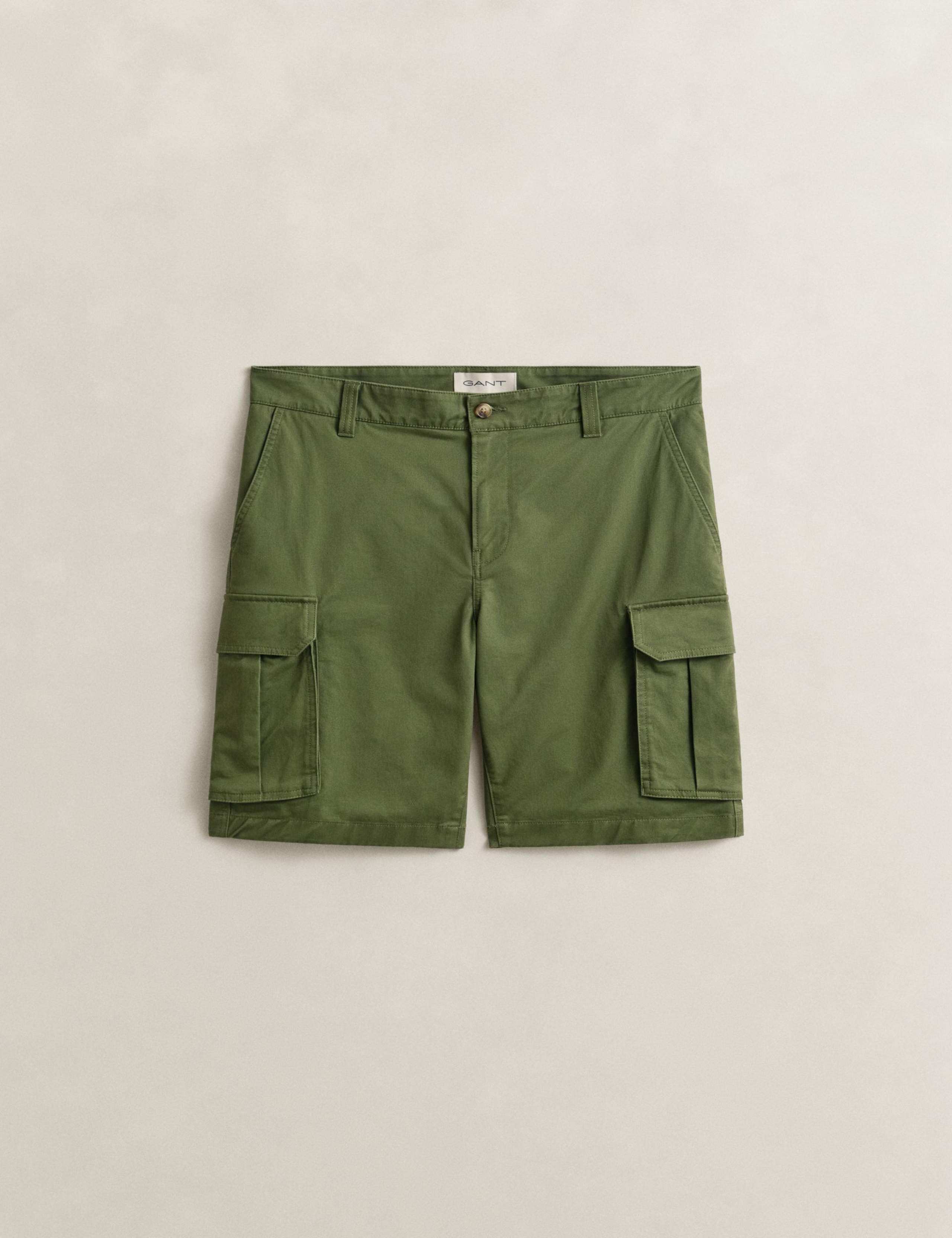Regular Fit Twill Cargo Shorts 2 of 7