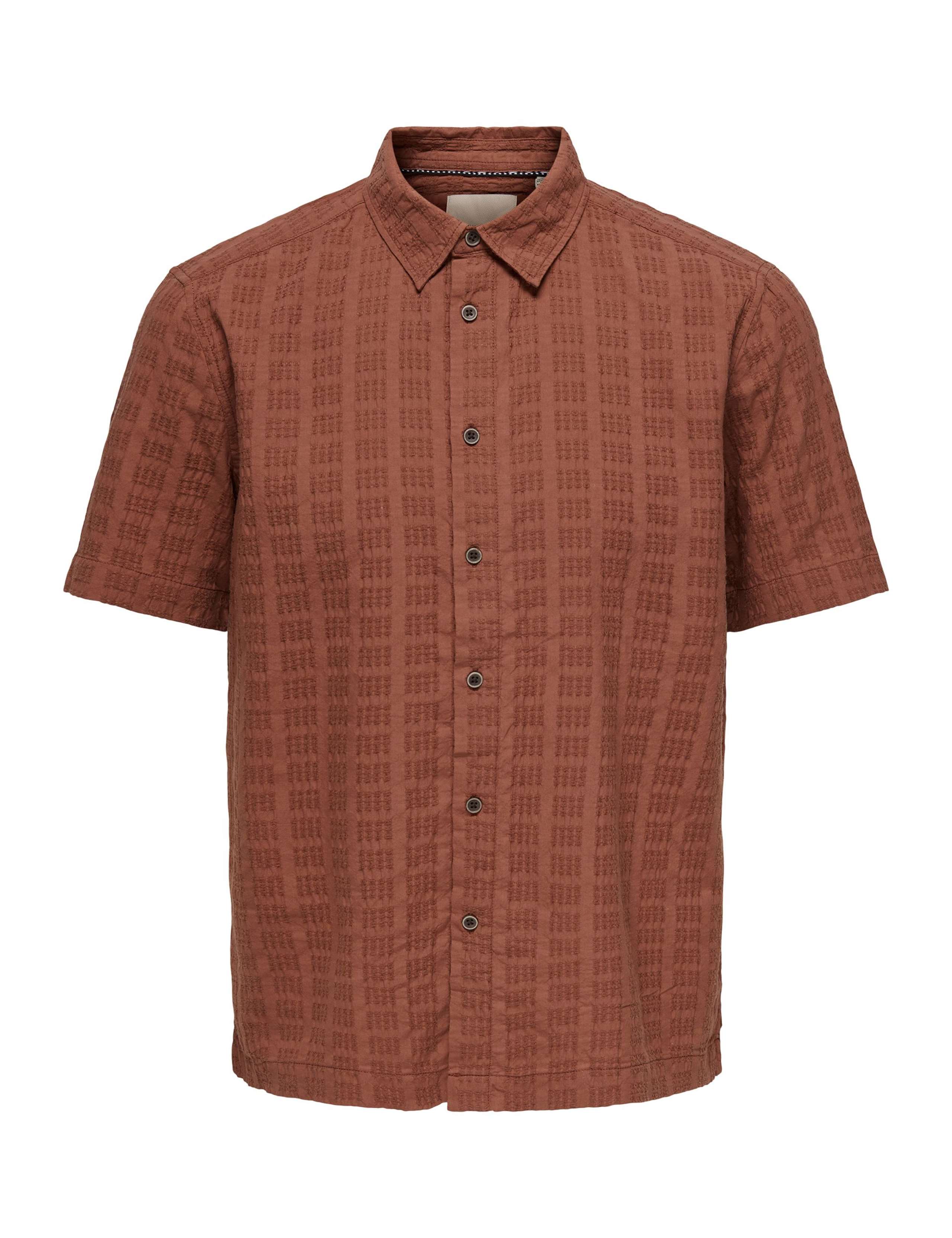 Regular Fit Textured Short Sleeve Shirt 2 of 5