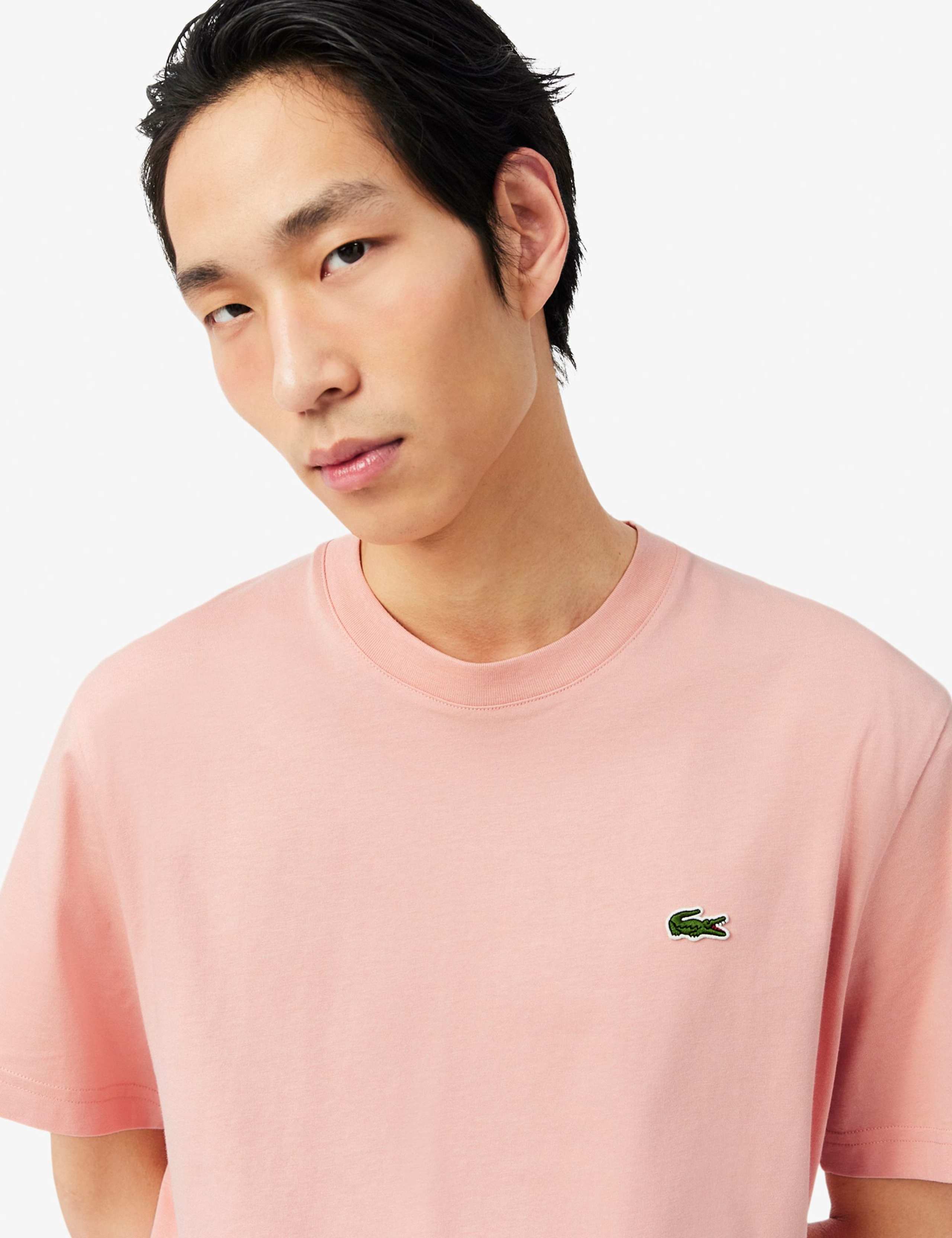 Pure Cotton Crew Neck T-Shirt 4 of 6