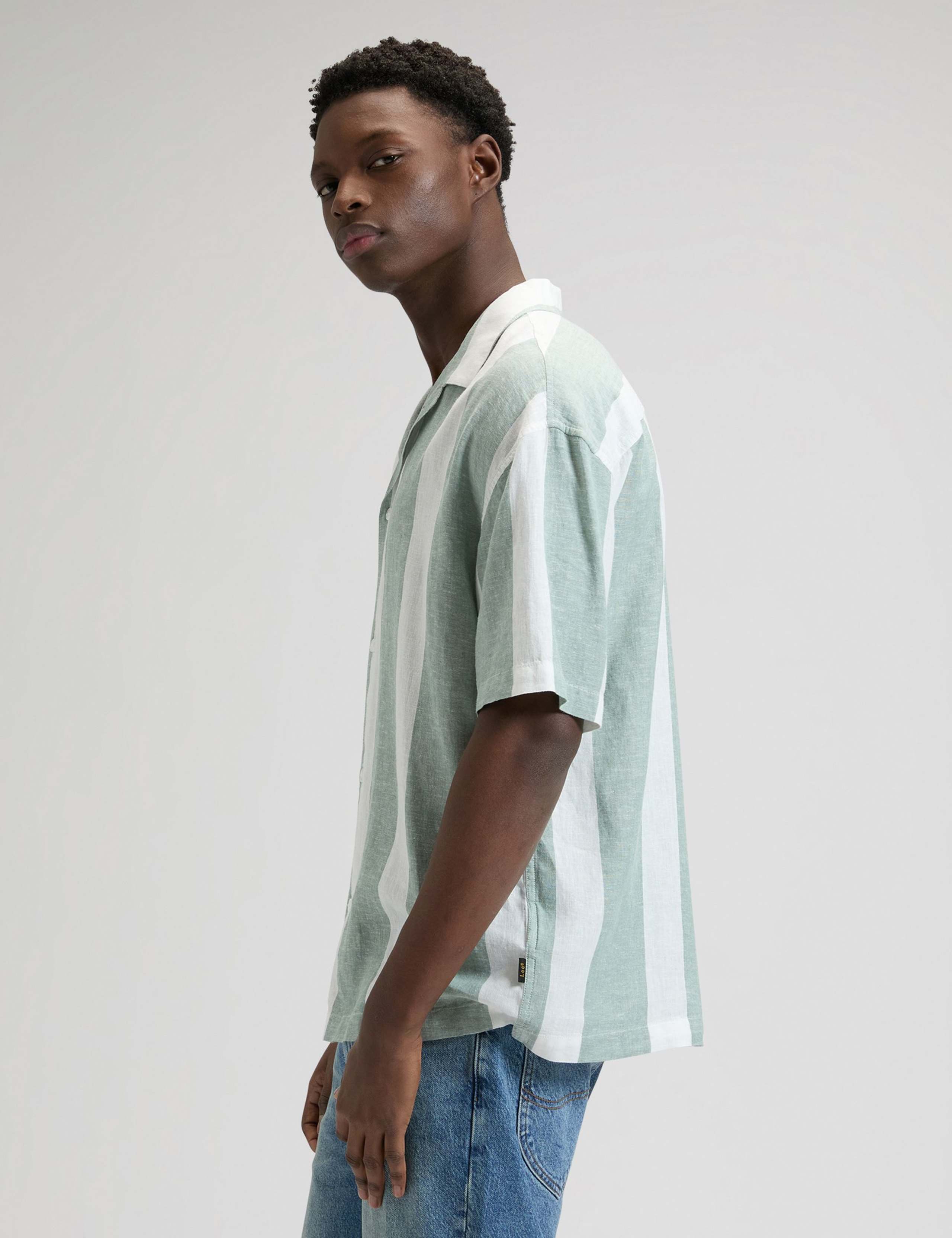 Regular Fit Linen Rich Striped Short Sleeve Shirt 4 of 6