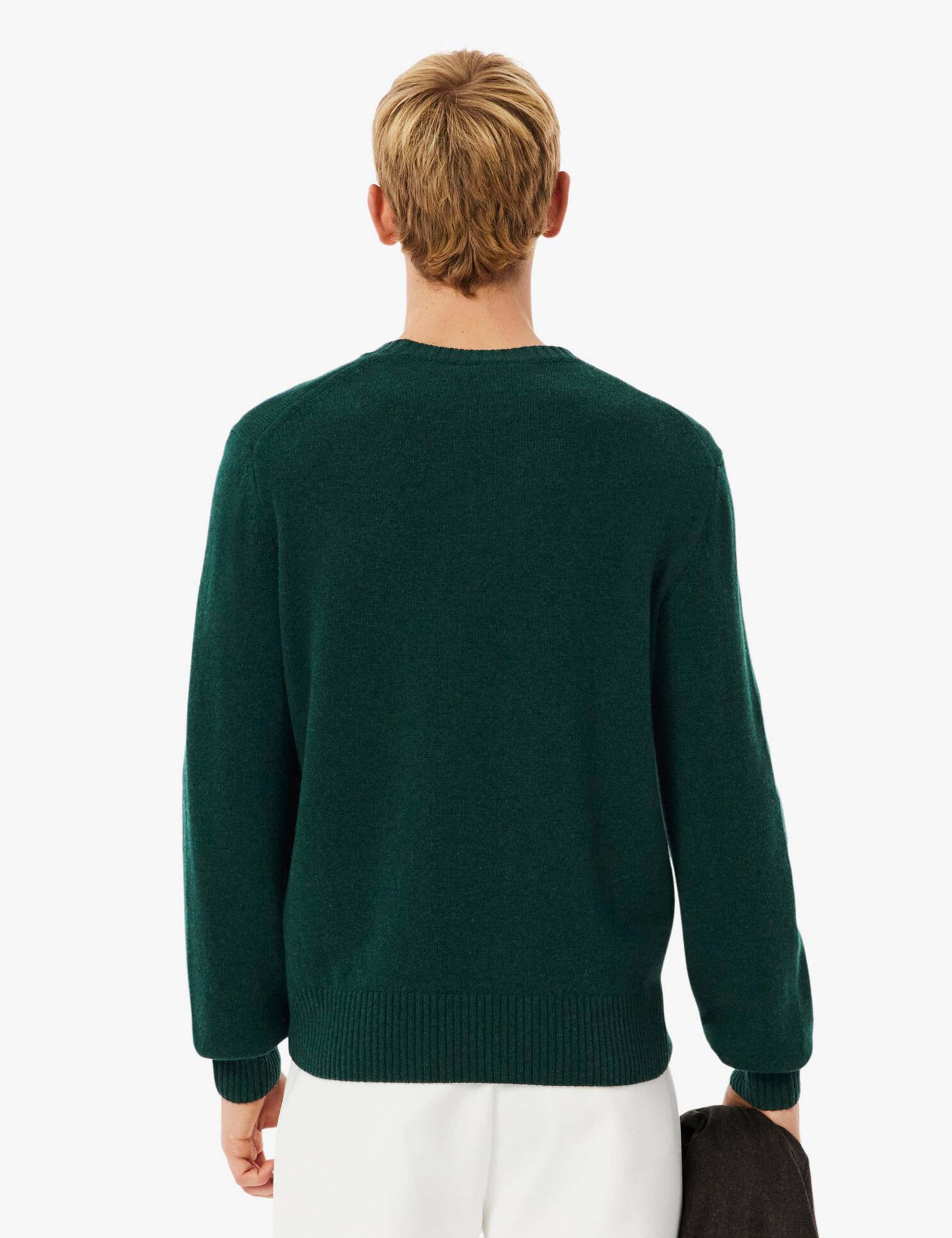 Pure Wool Crew Neck Jumper 4 of 4