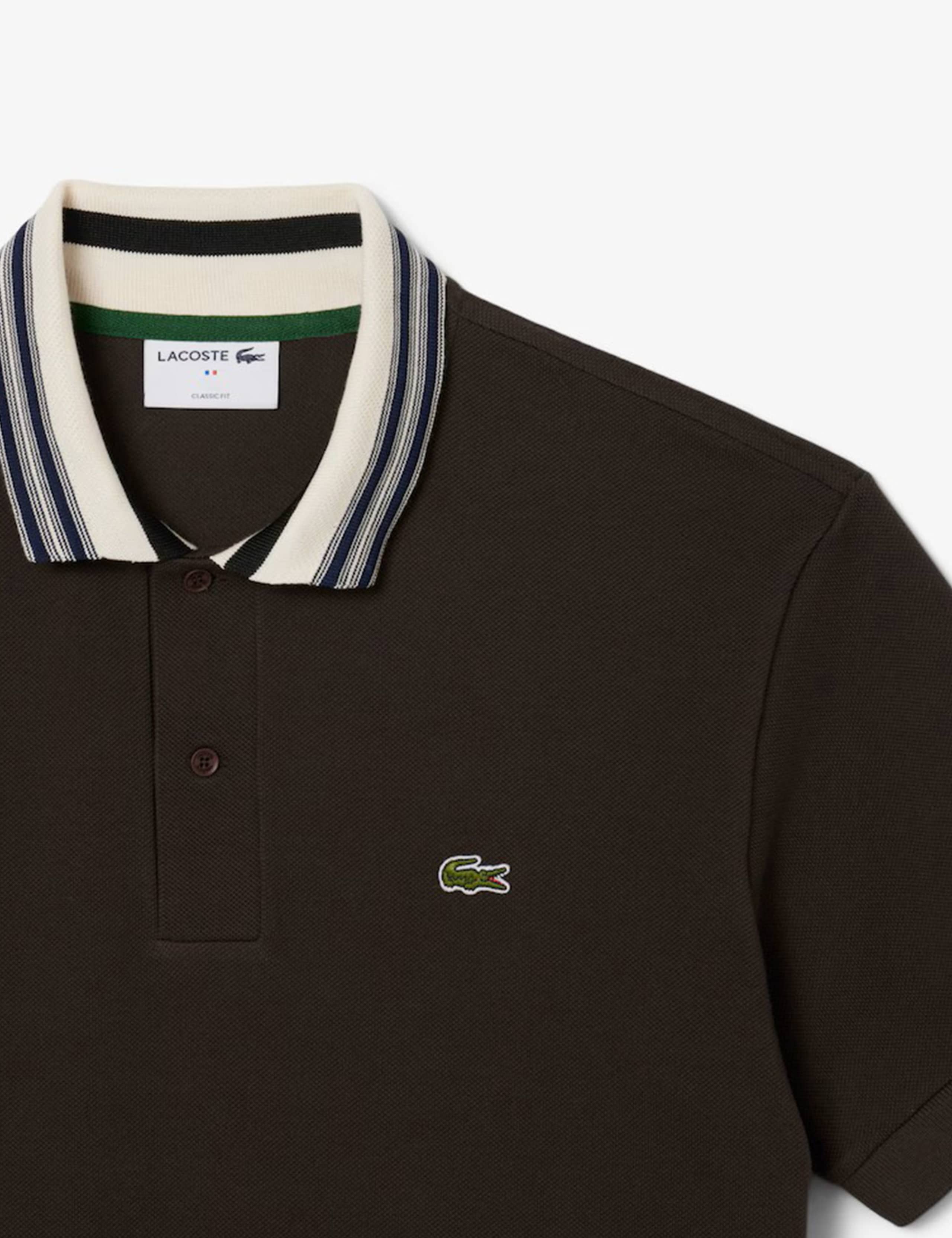 Pure Cotton Polo Shirt 4 of 6