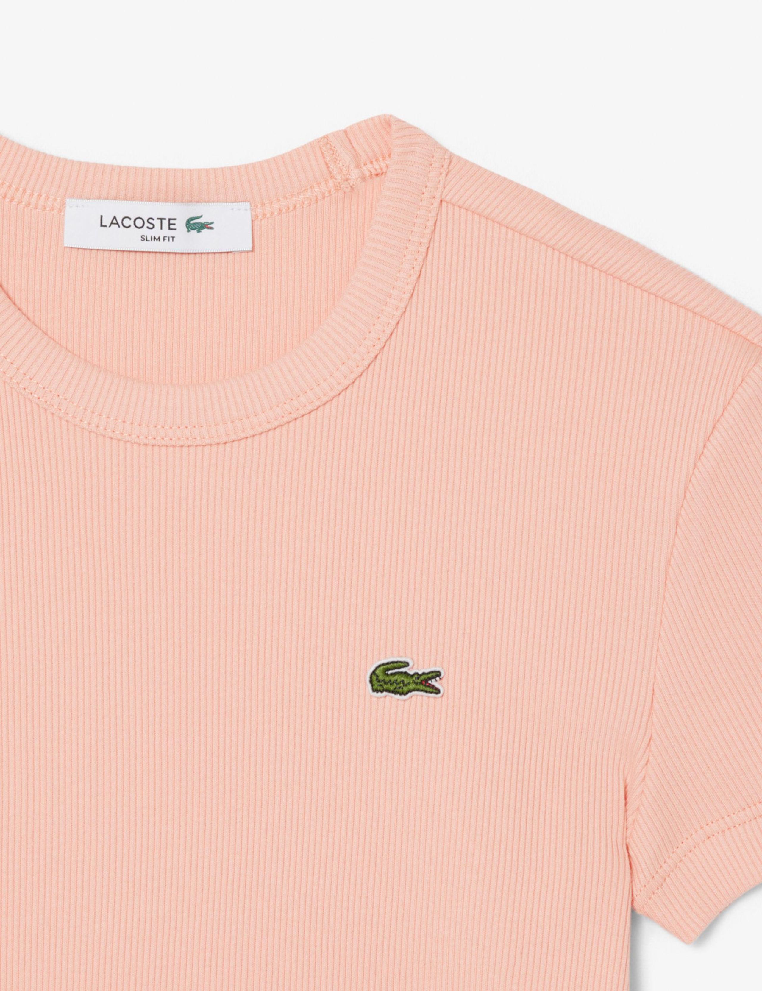 Pure Cotton Ribbed T-Shirt 2 of 3