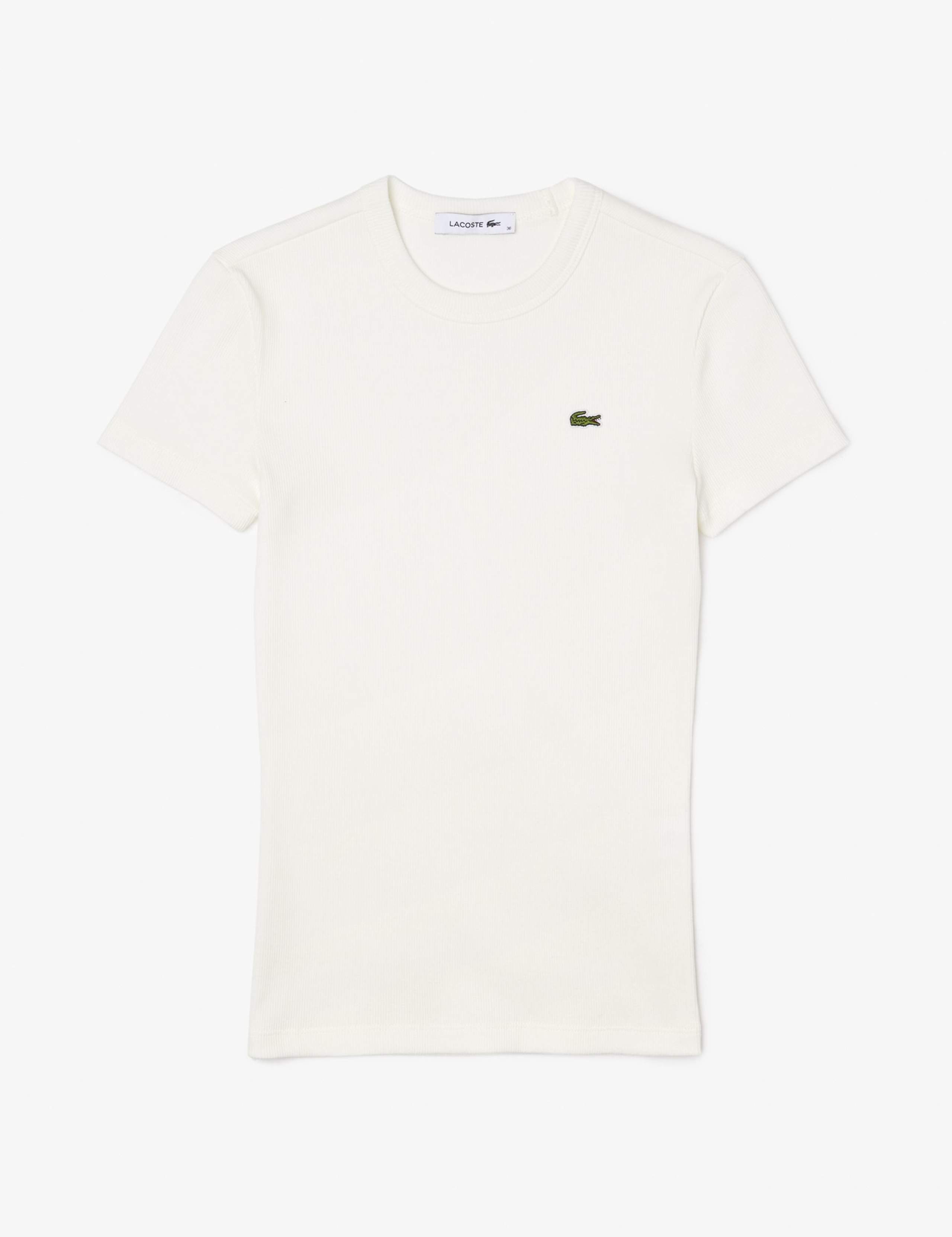 Pure Cotton Ribbed T-Shirt 2 of 5