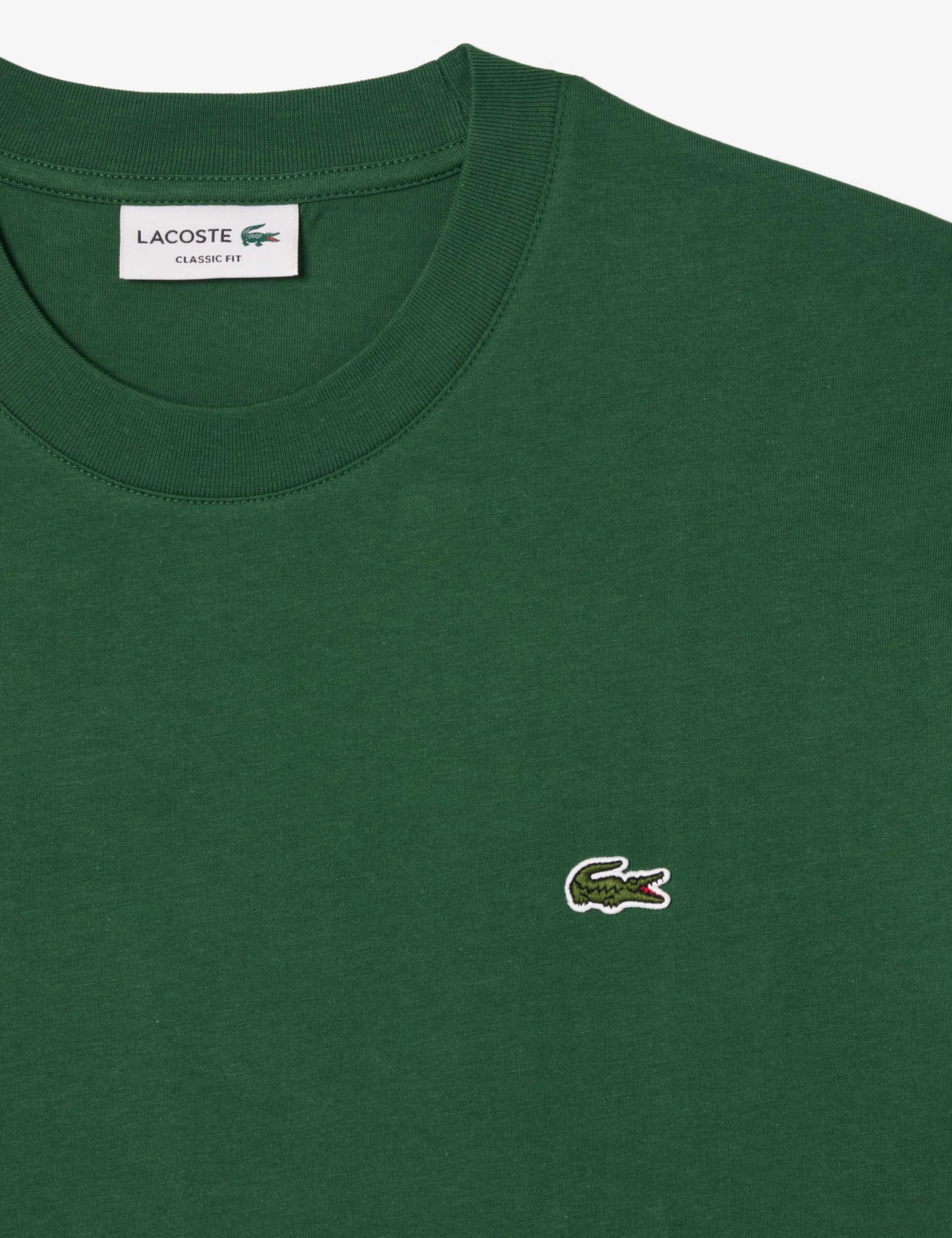 Pure Cotton T-Shirt 4 of 4