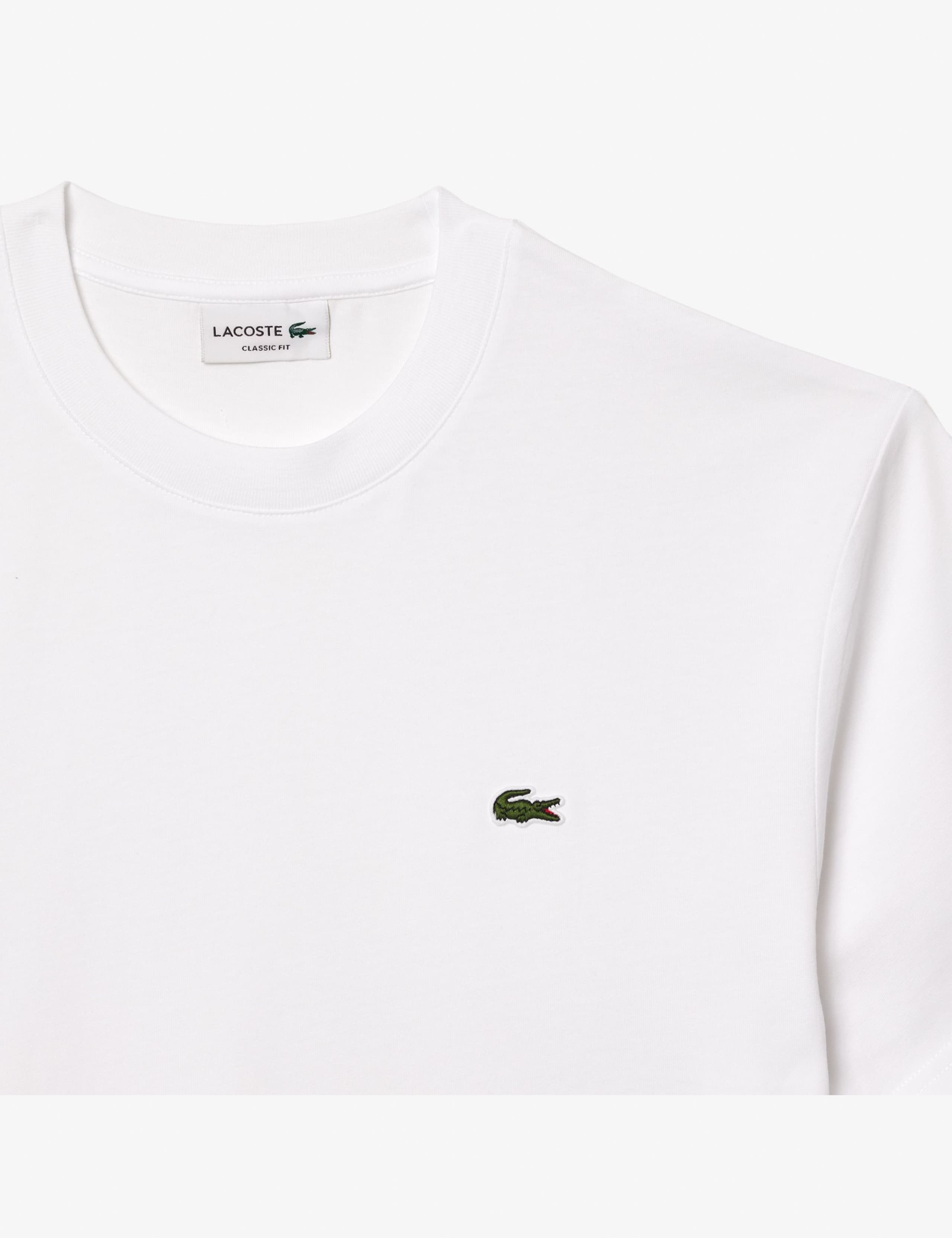 Pure Cotton T-Shirt 5 of 5