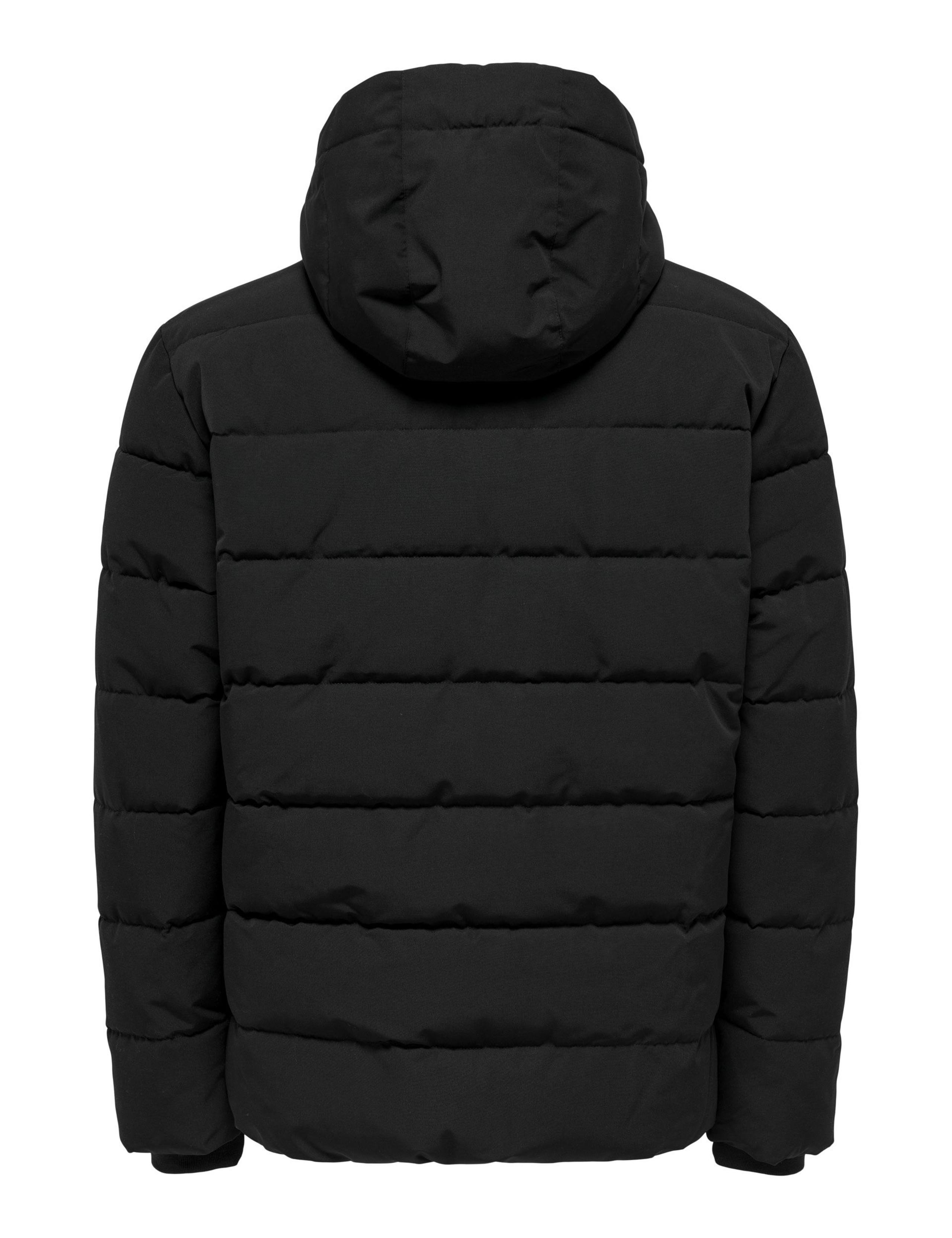 Hooded Puffer Jacket 7 of 8